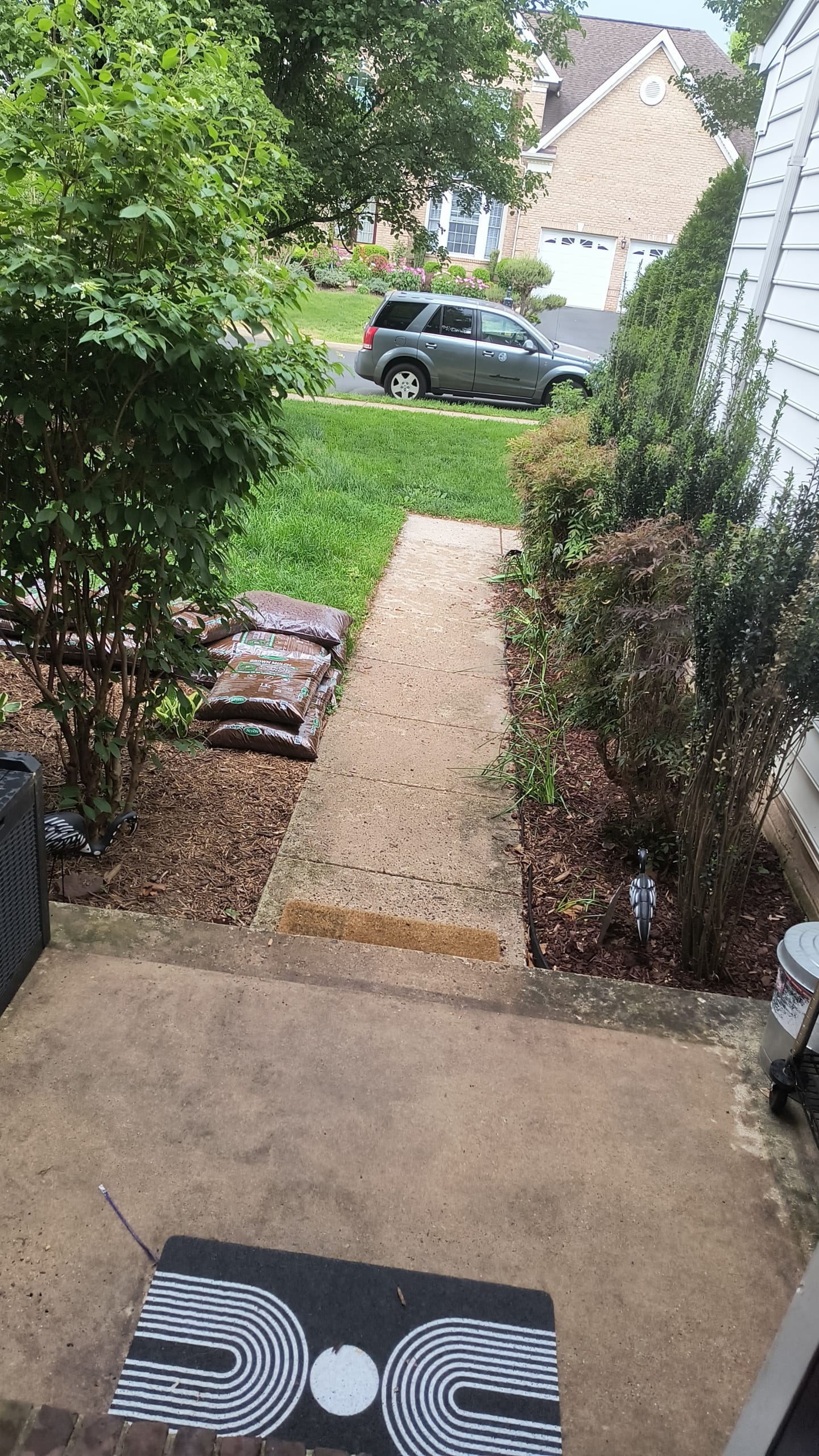 - Morgan Plantagenet: Ancestral Cryptology and Genetic Cartography News