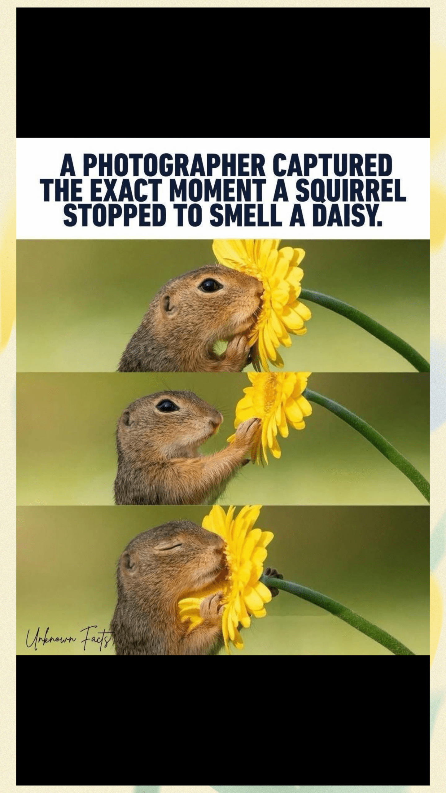 - Morgan Plantagenet: Ancestral Cryptology and Genetic Cartography News