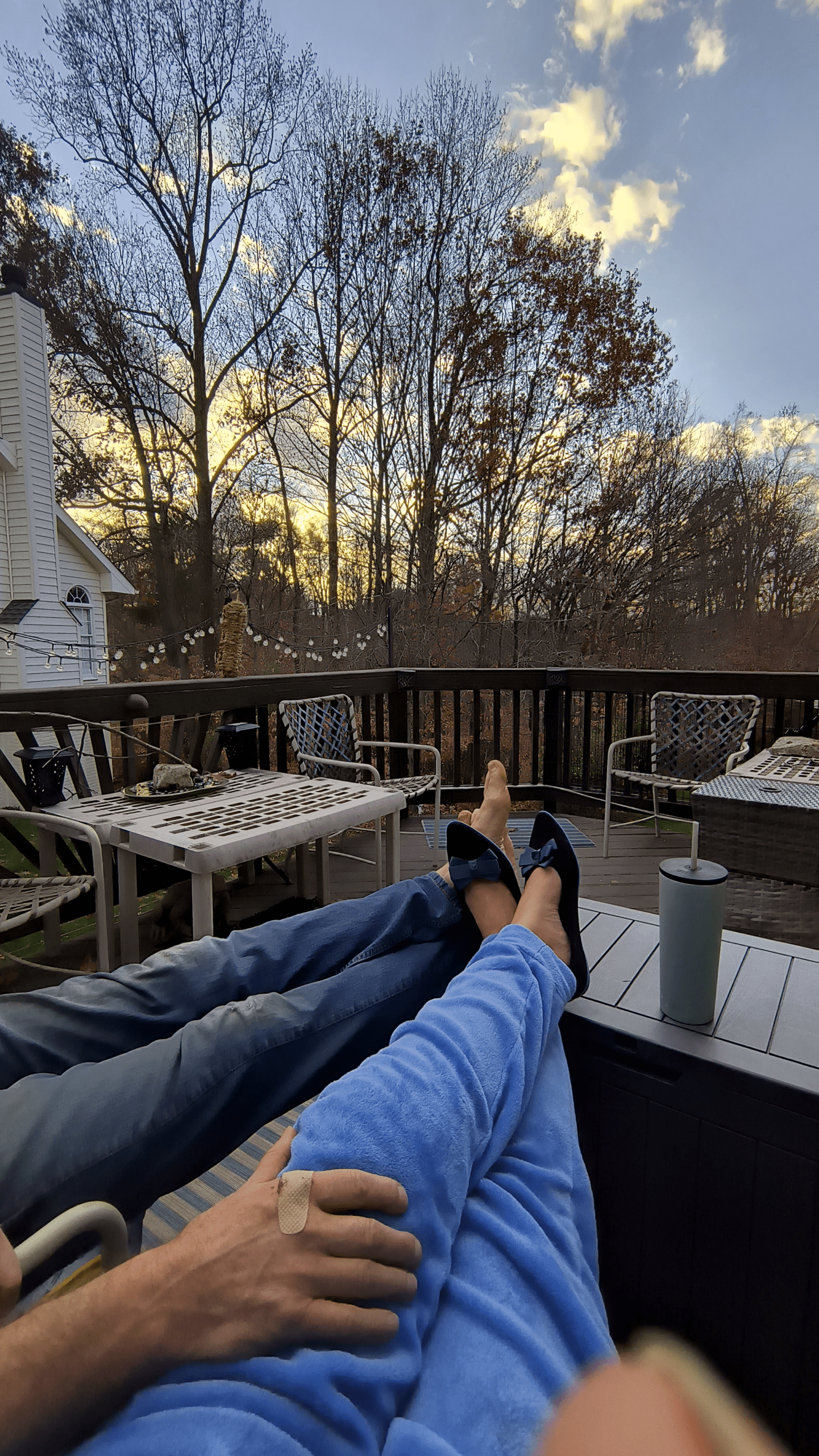 1000128644 - Morgan Plantagenet: Ancestral Cryptology and Genetic Cartography News 1000128644