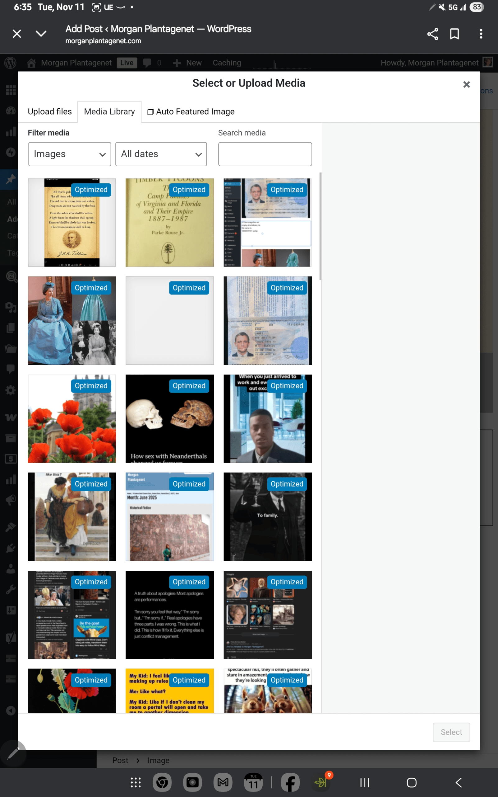 1000039310 scaled - Morgan Plantagenet: Ancestral Cryptology and Genetic Cartography News 1000039310 scaled
