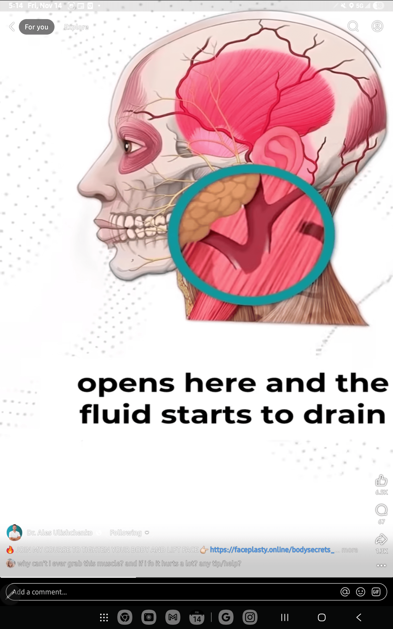 1000039565 - Morgan Plantagenet: Ancestral Cryptology and Genetic Cartography News 1000039565