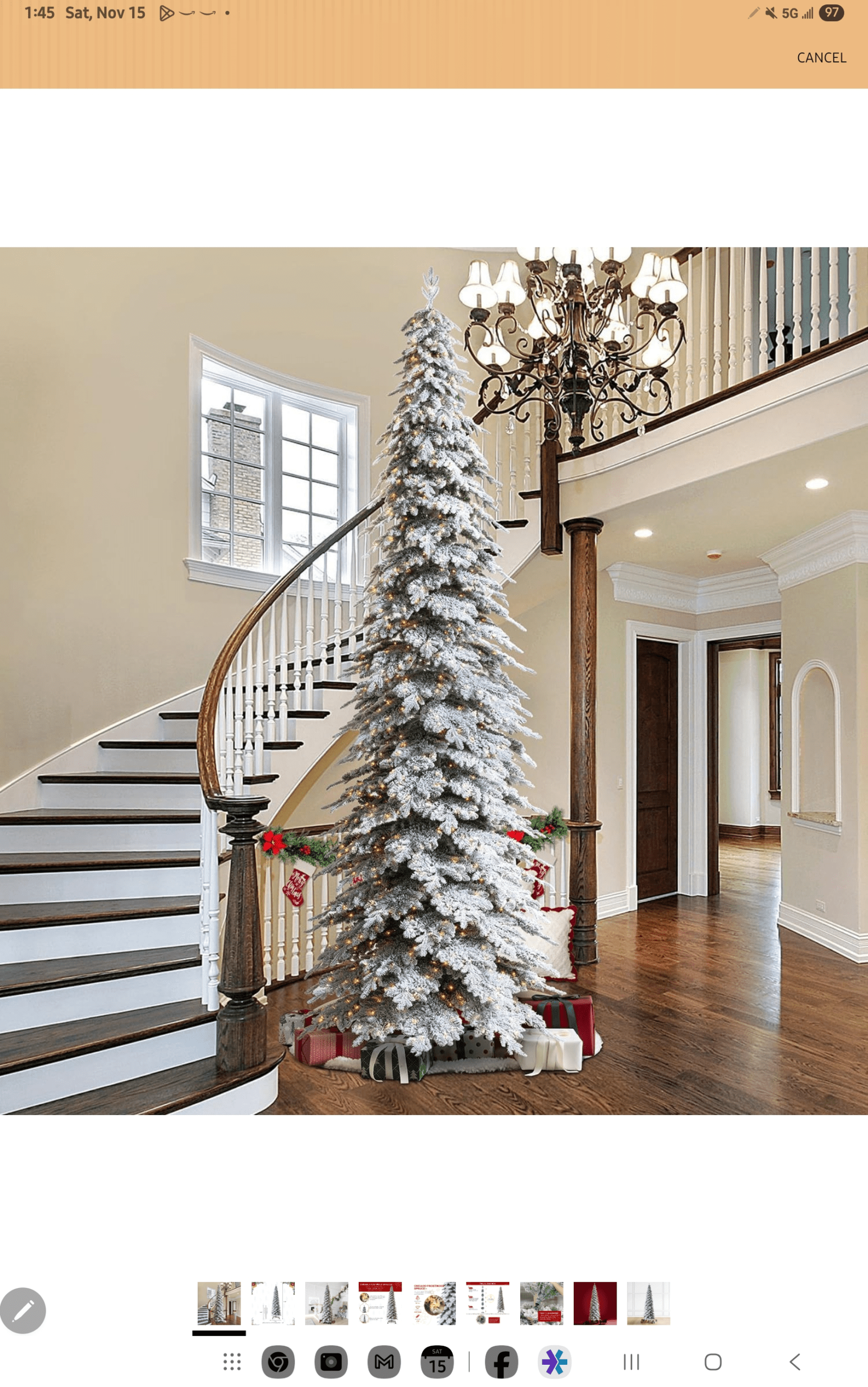 1000039704 - Morgan Plantagenet: Ancestral Cryptology and Genetic Cartography News 1000039704