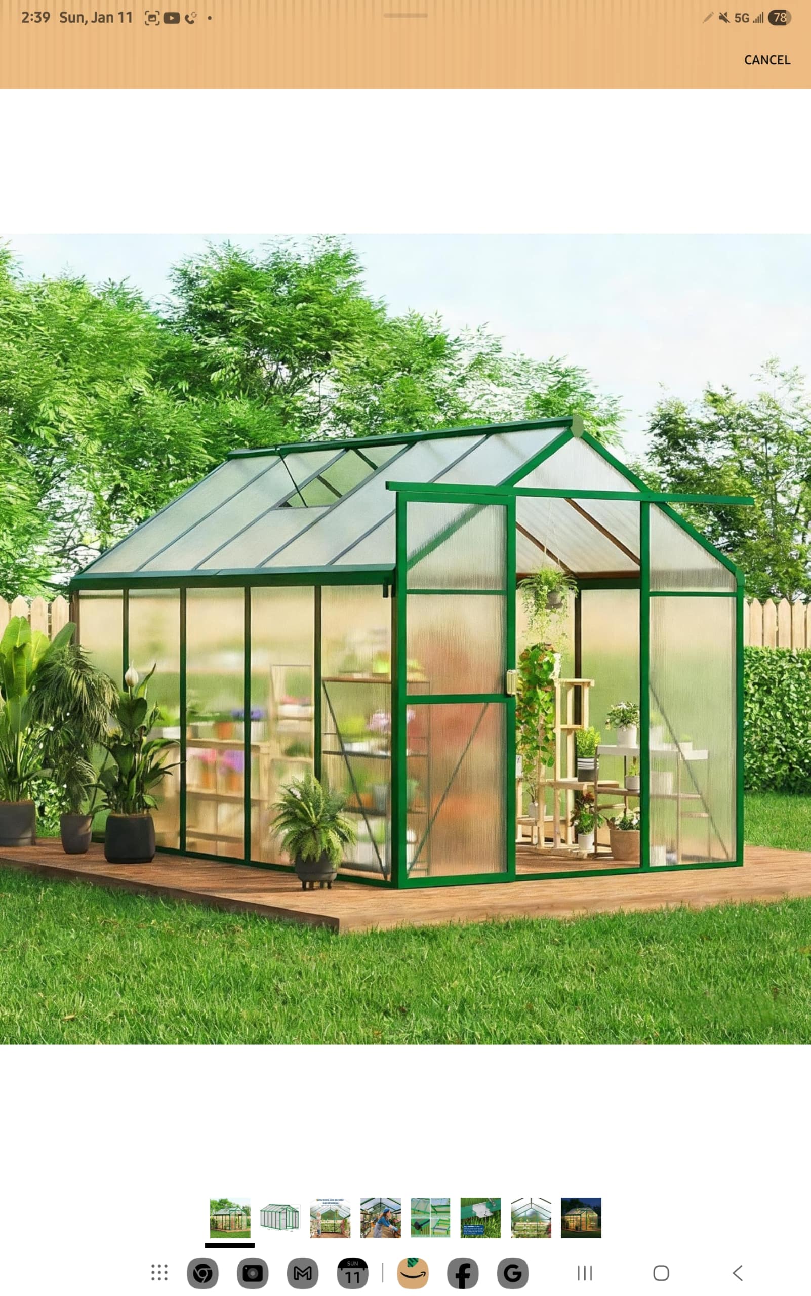 - Morgan Plantagenet: Ancestral Cryptology and Genetic Cartography News