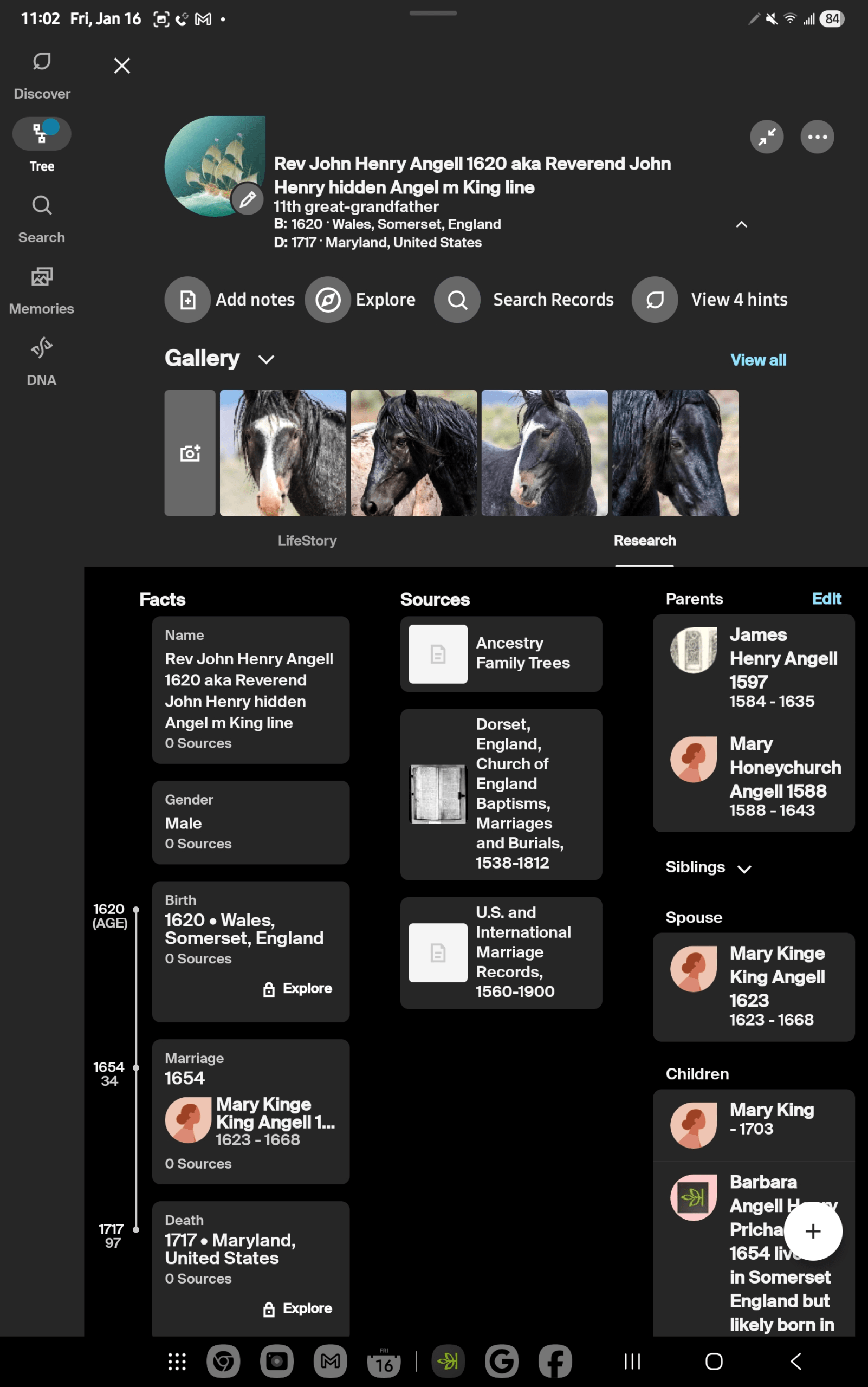 - Morgan Plantagenet: Ancestral Cryptology and Genetic Cartography News