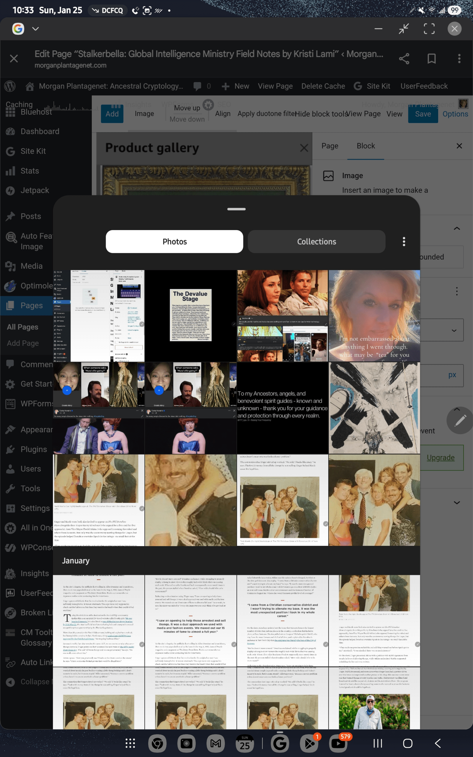 1000046573 - Morgan Plantagenet: Ancestral Cryptology and Genetic Cartography News 1000046573