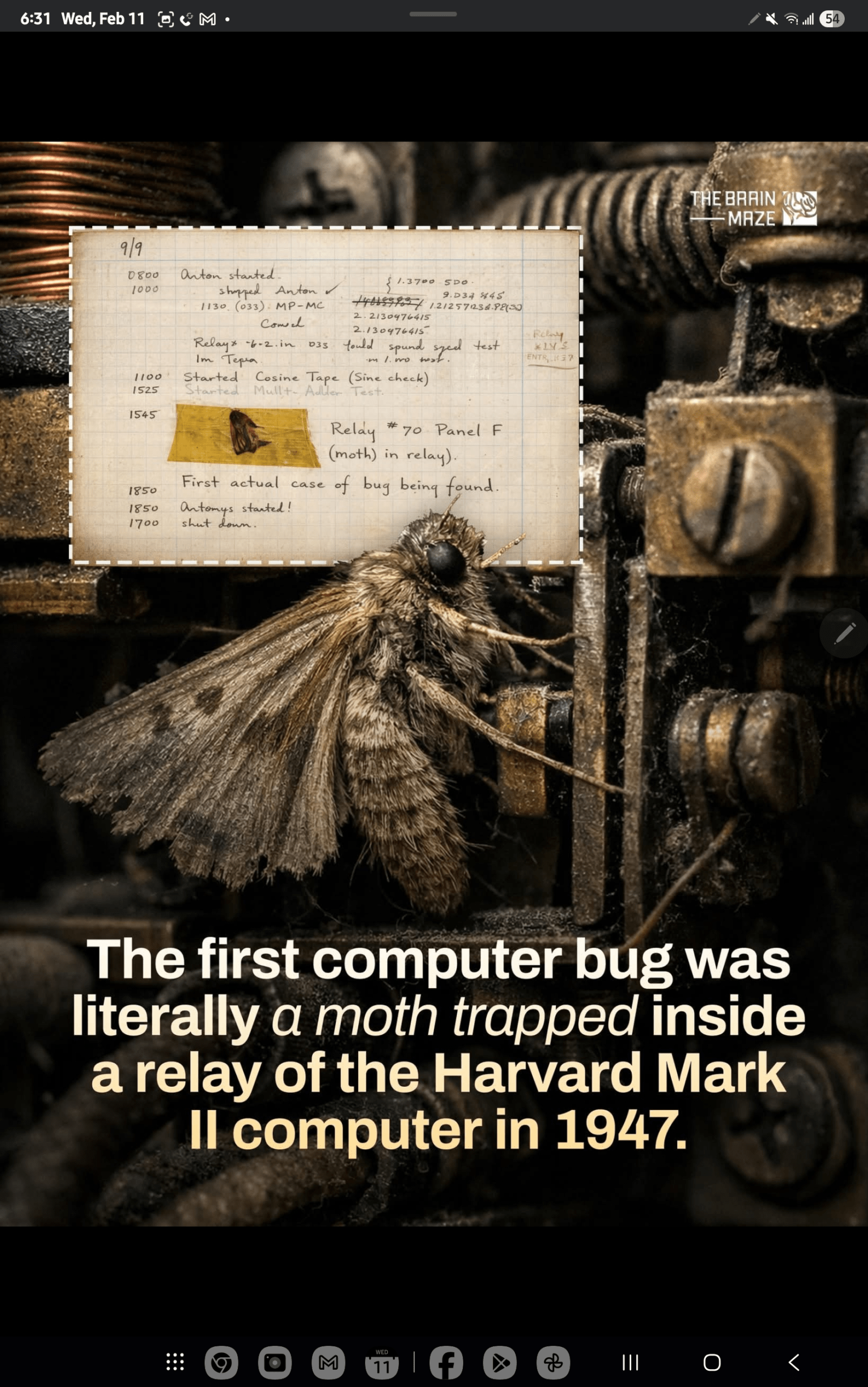 1000047337 - Morgan Plantagenet: Ancestral Cryptology and Genetic Cartography News 1000047337