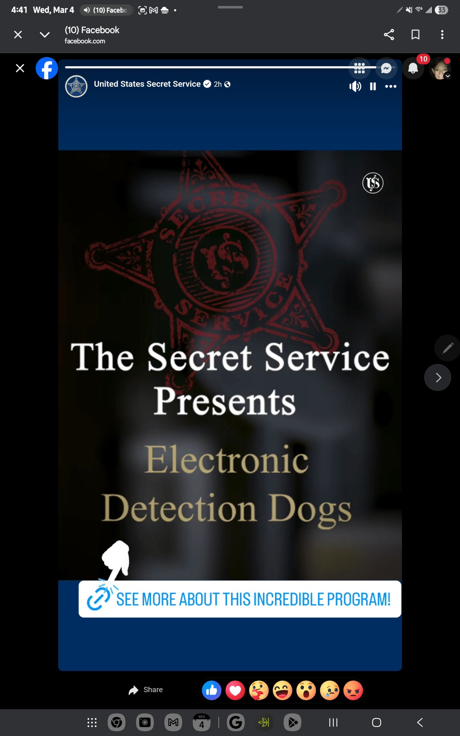 - Morgan Plantagenet: Ancestral Cryptology and Genetic Cartography News