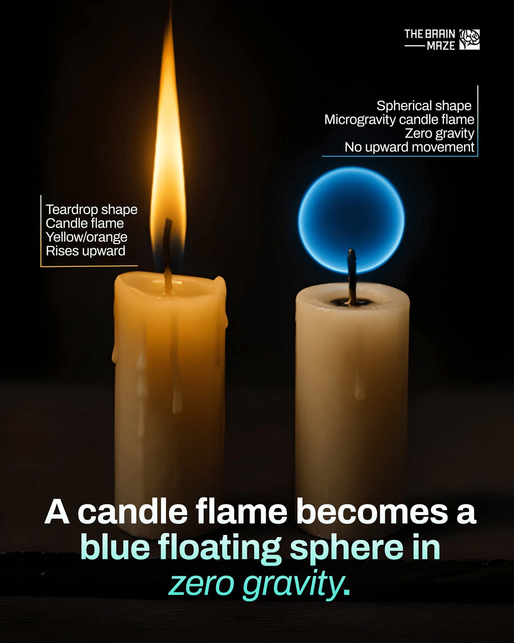 1000040809 - Morgan Plantagenet: Ancestral Cryptology and Genetic Cartography News 1000040809