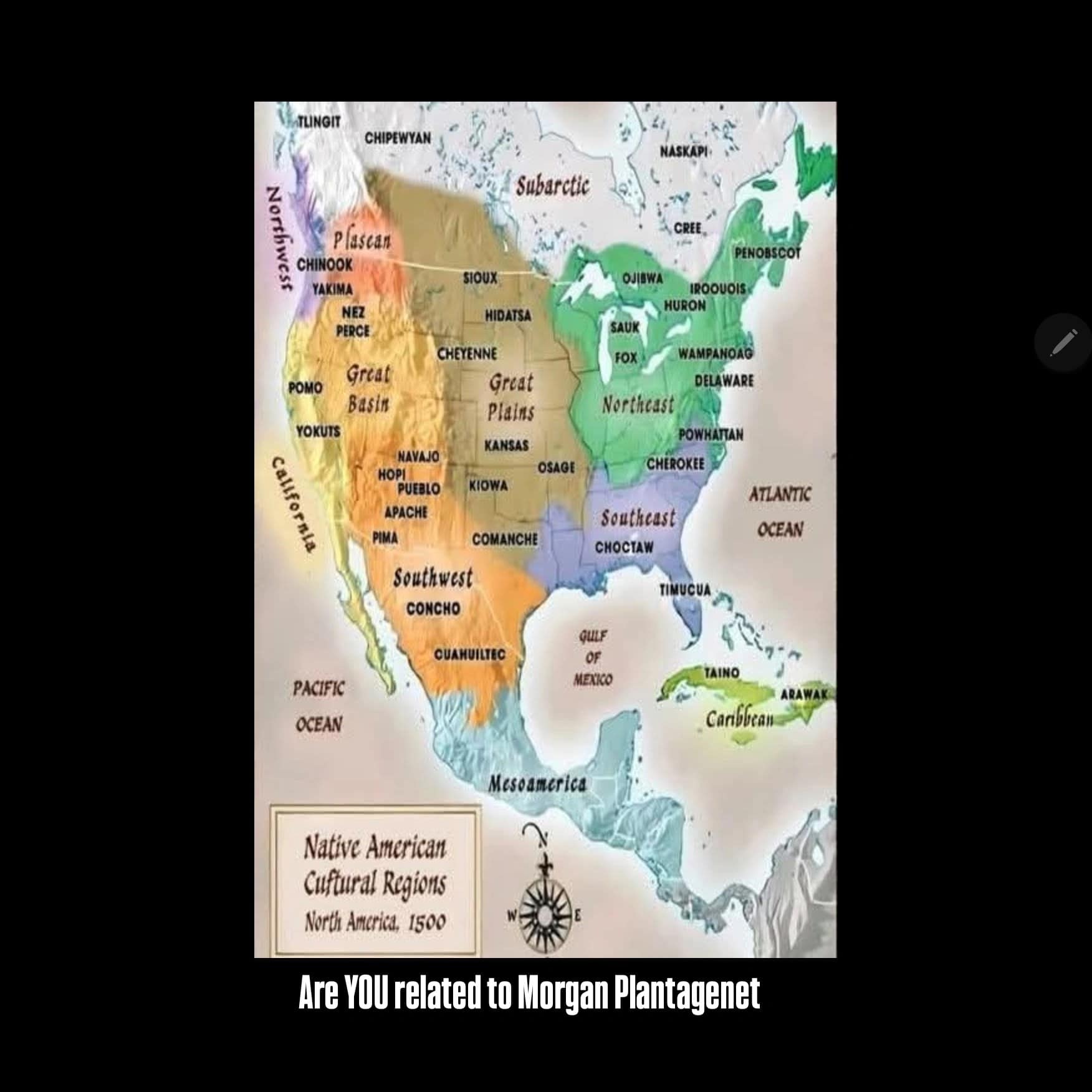 1000034983 - Morgan Plantagenet: Ancestral Cryptology and Genetic Cartography News 1000034983