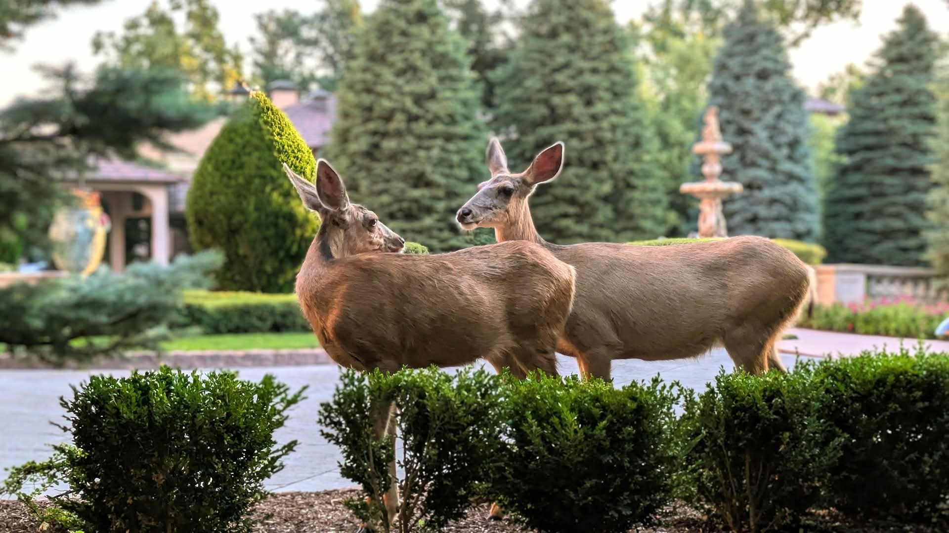 1000040191 - Morgan Plantagenet: Ancestral Cryptology and Genetic Cartography News 1000040191