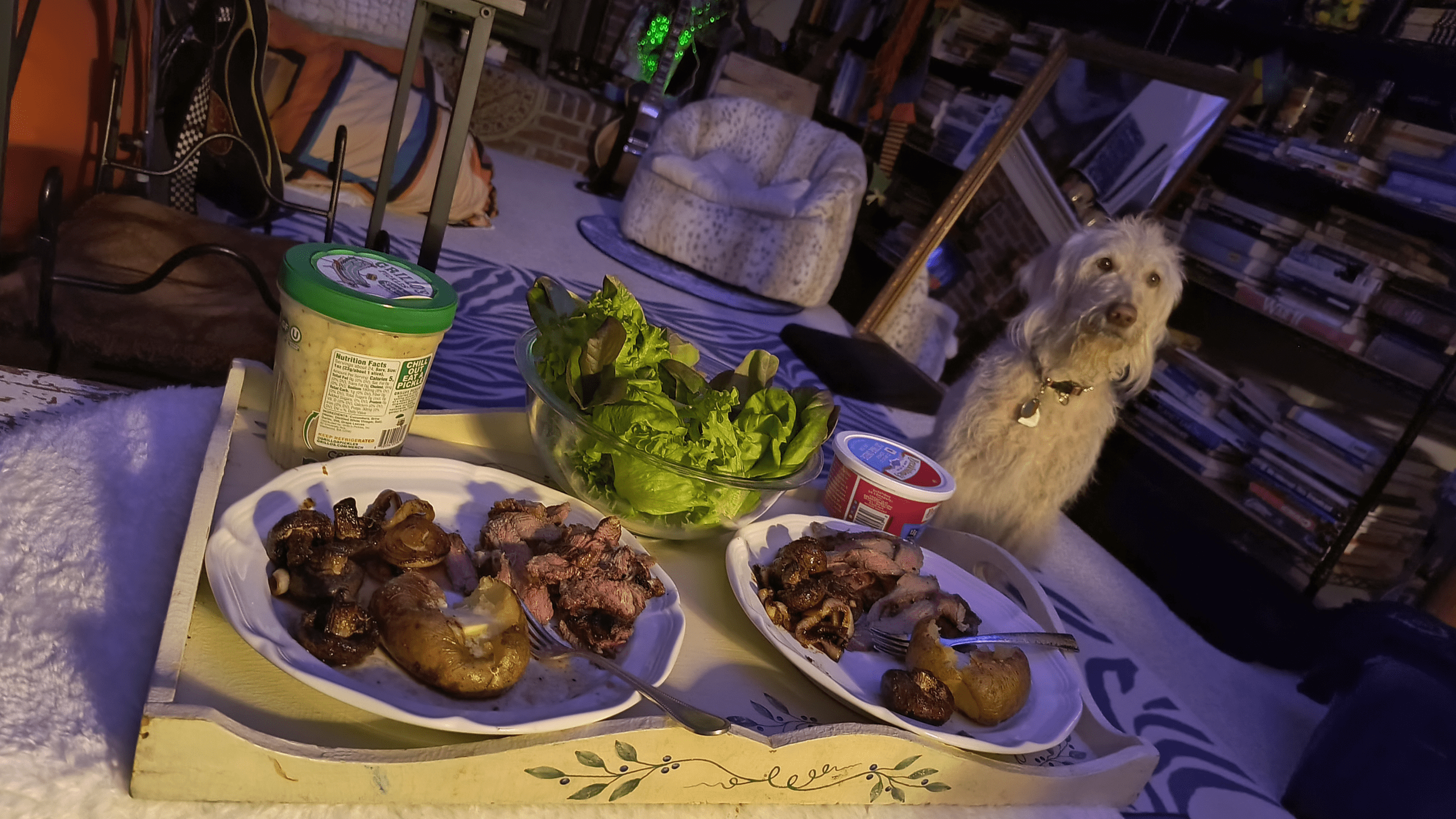 1000125480 scaled - Morgan Plantagenet: Ancestral Cryptology and Genetic Cartography News 1000125480 scaled