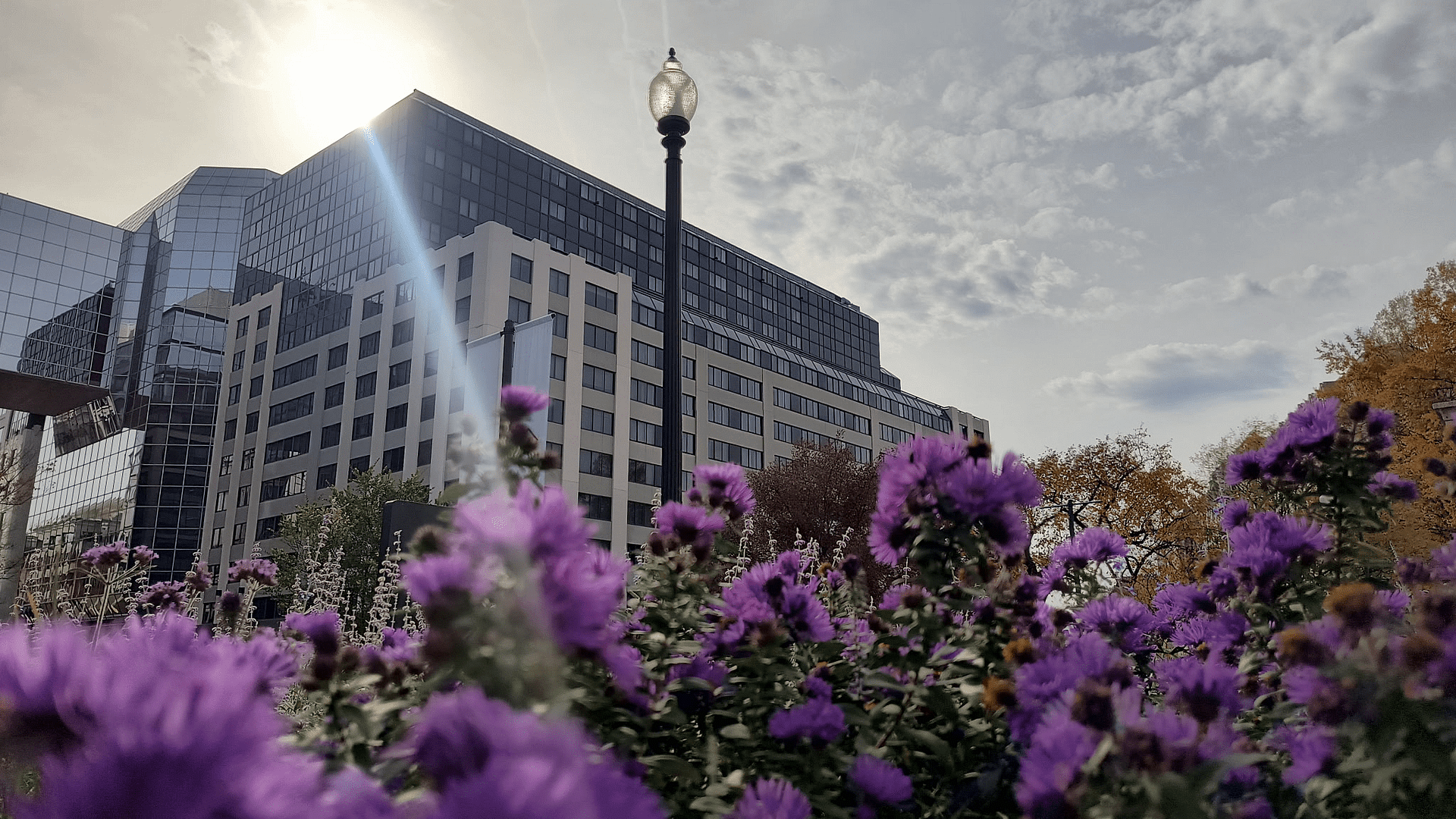 1000126159 - Morgan Plantagenet: Ancestral Cryptology and Genetic Cartography News 1000126159