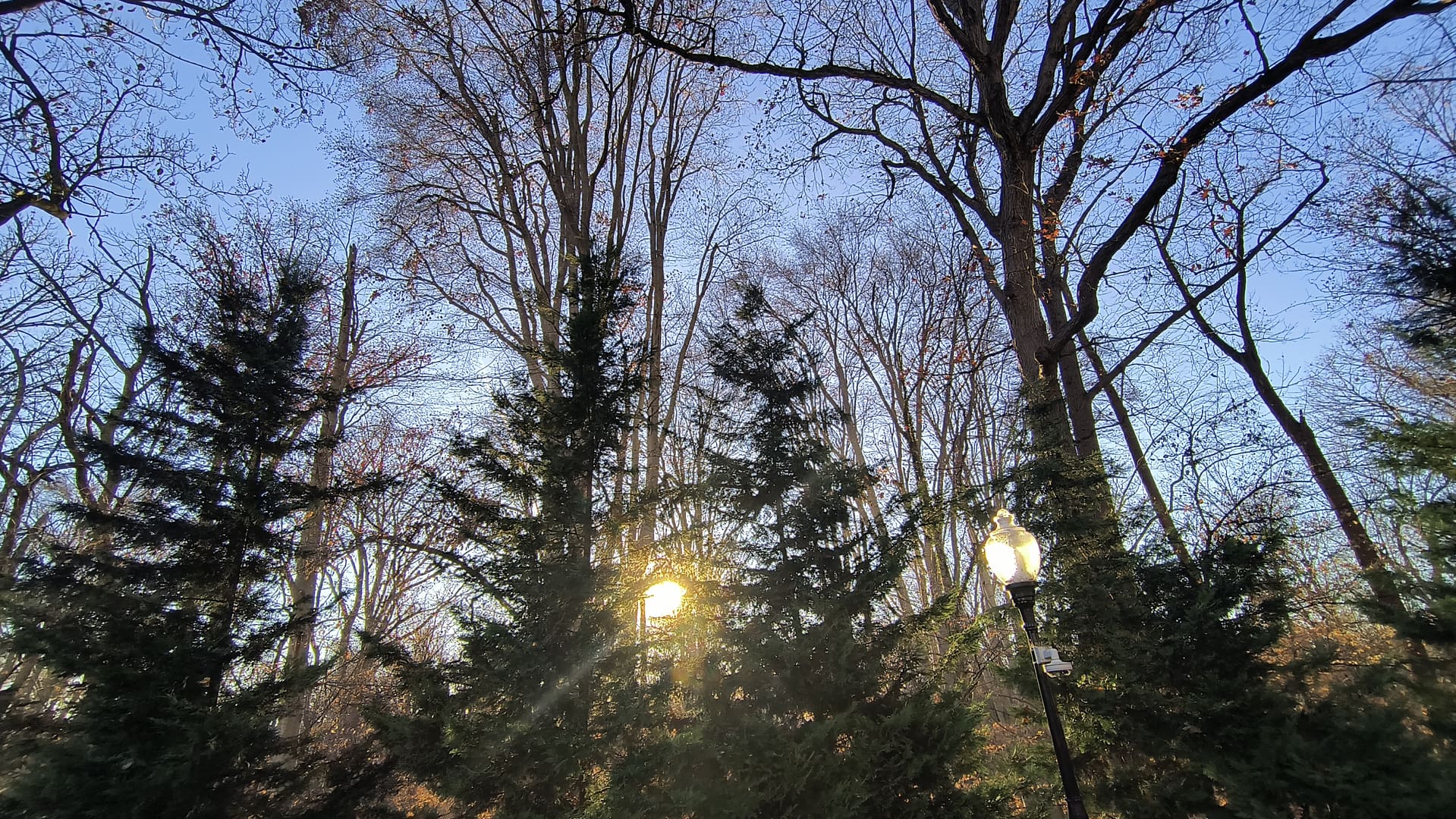 1000129357 - Morgan Plantagenet: Ancestral Cryptology and Genetic Cartography News 1000129357