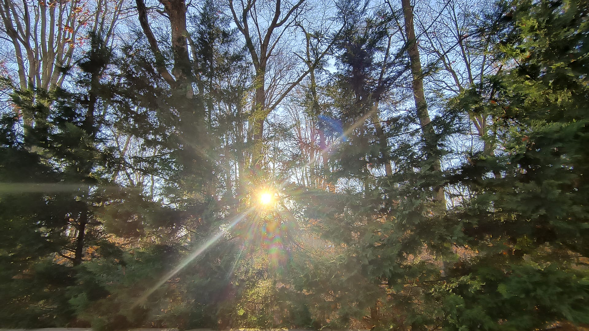 1000129363 - Morgan Plantagenet: Ancestral Cryptology and Genetic Cartography News 1000129363