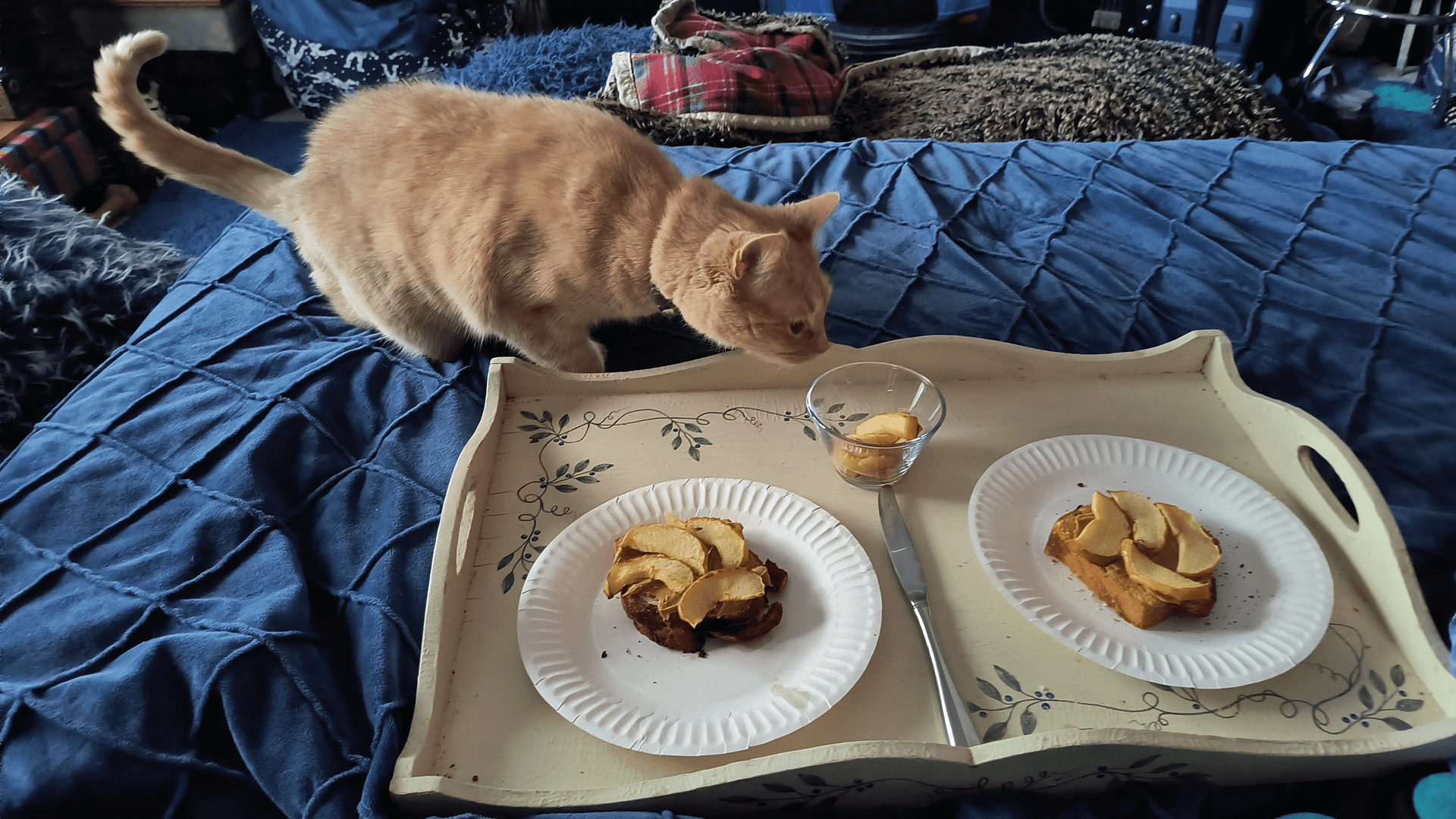 1000130031 - Morgan Plantagenet: Ancestral Cryptology and Genetic Cartography News 1000130031