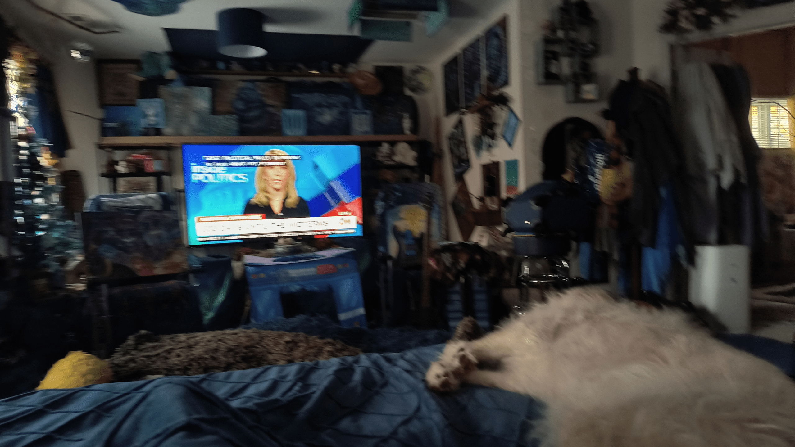 1000130313 - Morgan Plantagenet: Ancestral Cryptology and Genetic Cartography News 1000130313