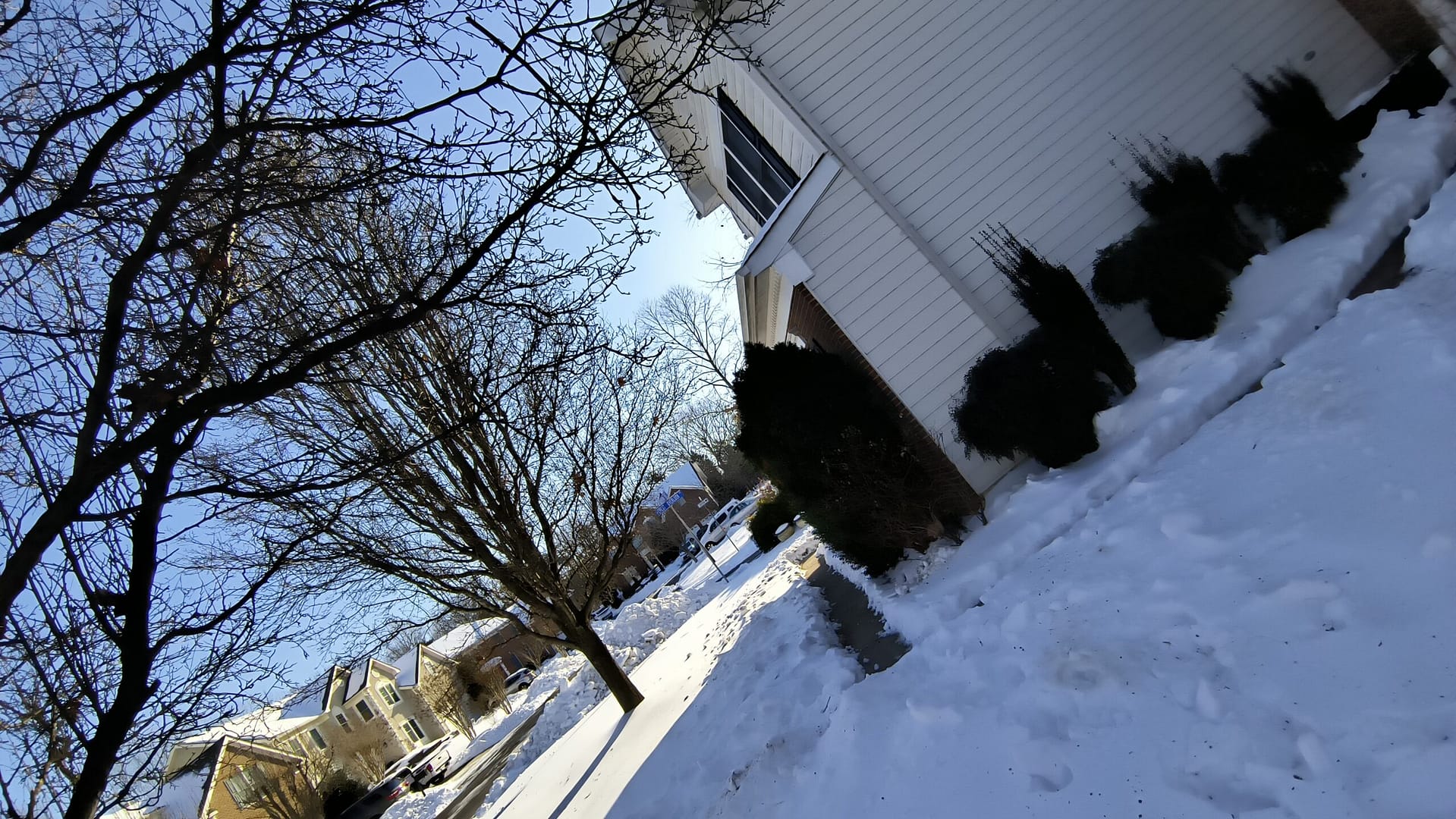 1000135005 - Morgan Plantagenet: Ancestral Cryptology and Genetic Cartography News 1000135005