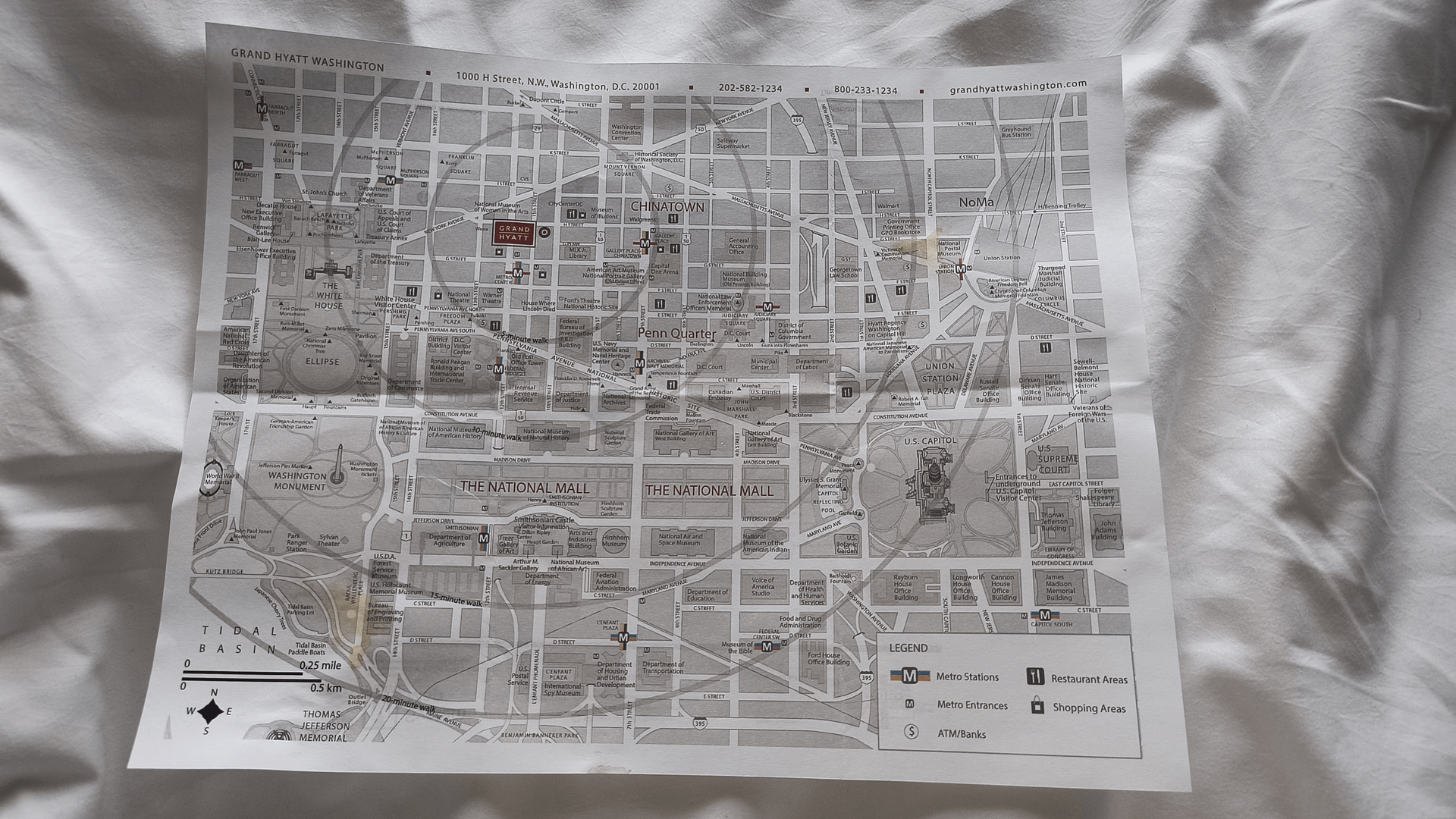 - Morgan Plantagenet: Ancestral Cryptology and Genetic Cartography News