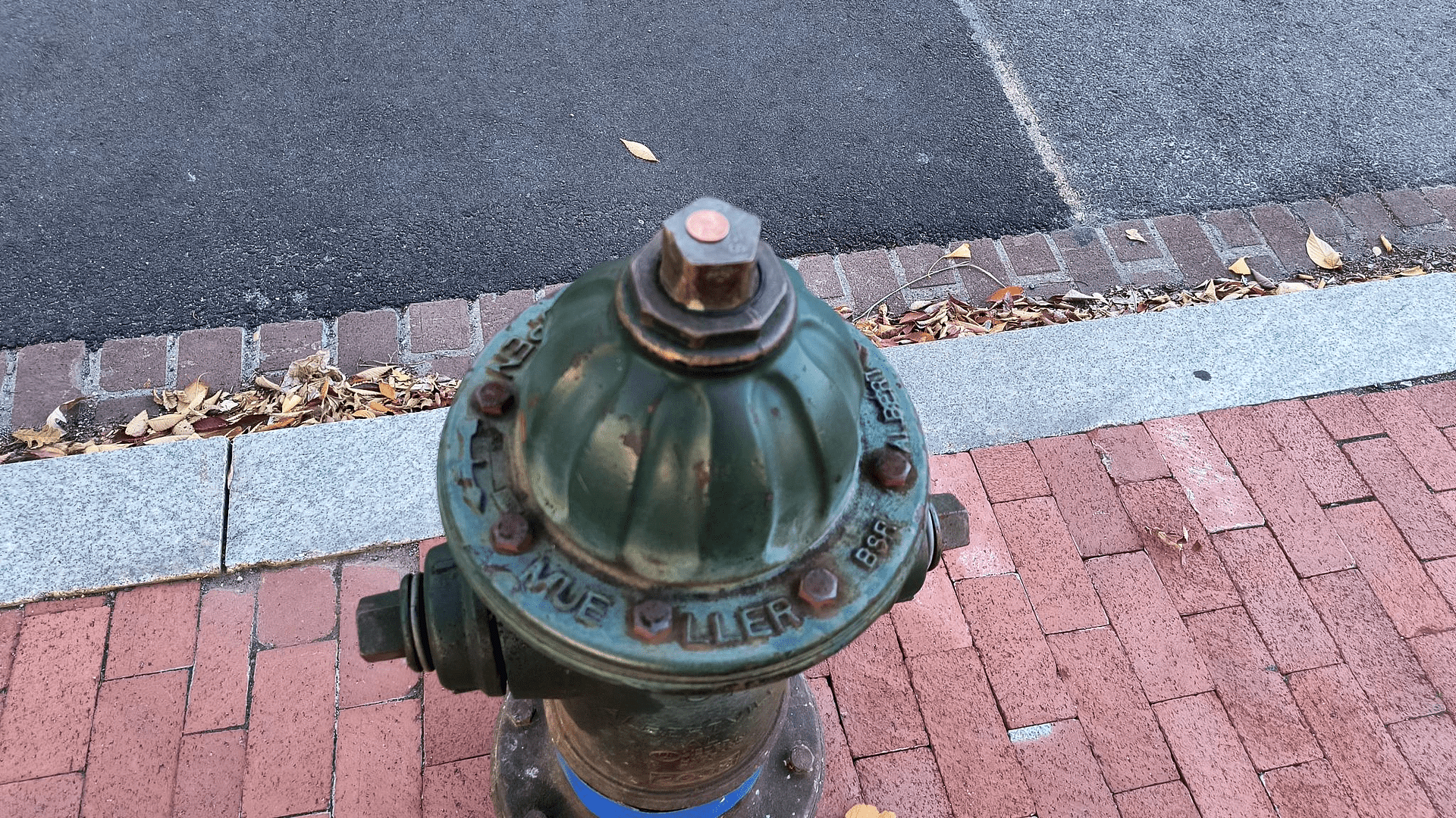 1000127252 - Morgan Plantagenet: Ancestral Cryptology and Genetic Cartography News 1000127252