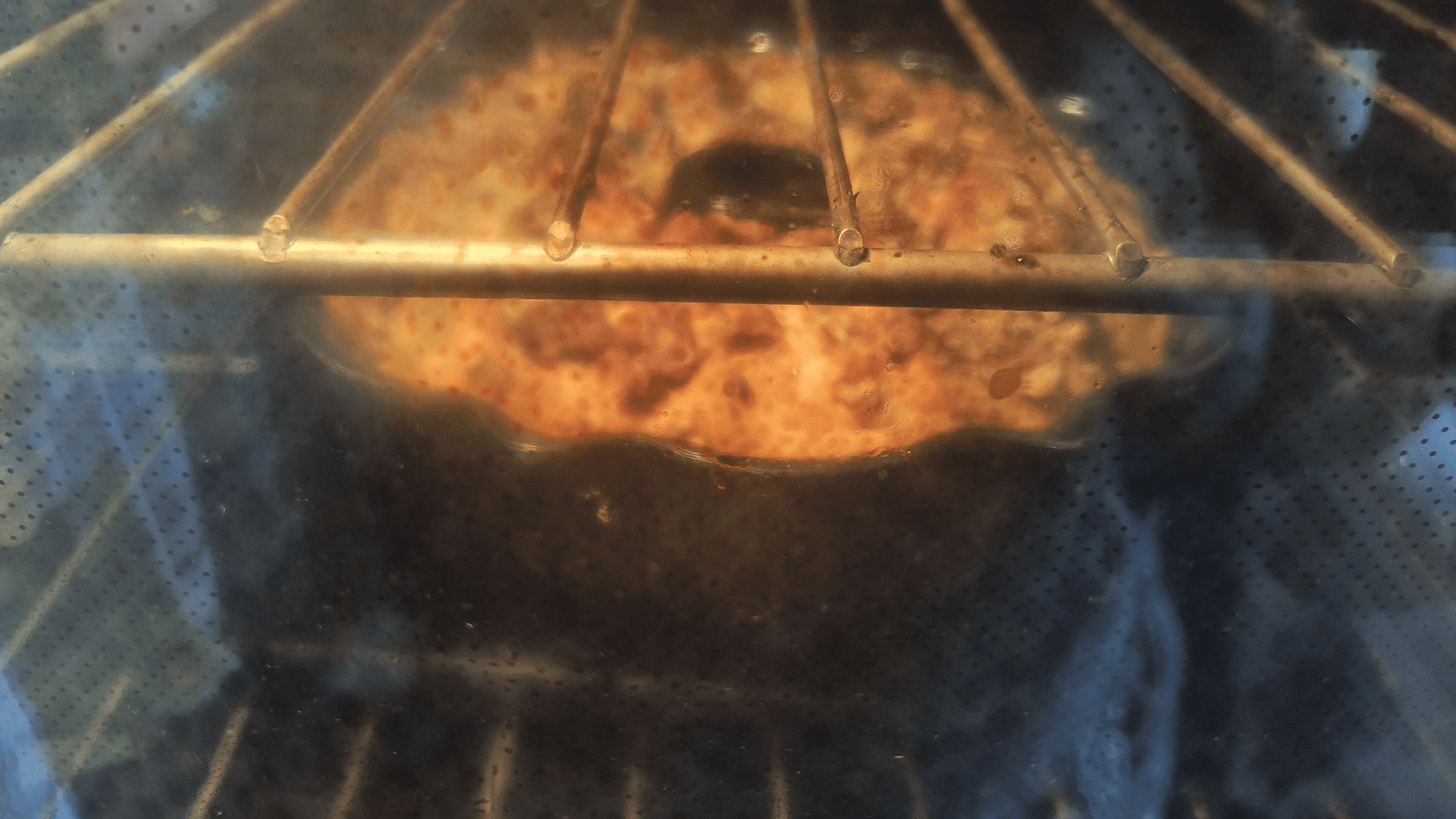 - Morgan Plantagenet: Ancestral Cryptology and Genetic Cartography News