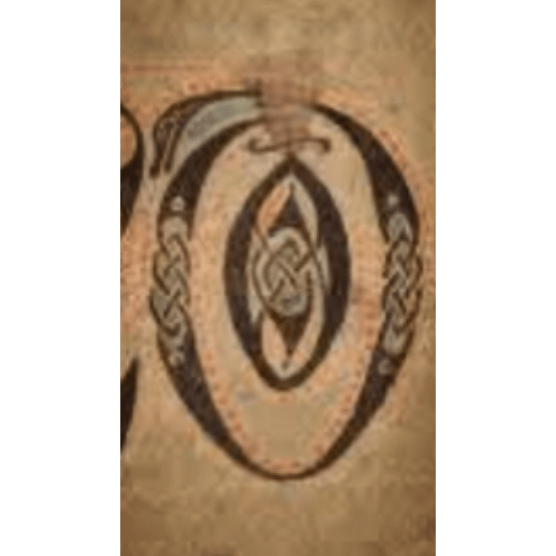 1000039201 scaled - Morgan Plantagenet: Ancestral Cryptology and Genetic Cartography News 1000039201 scaled