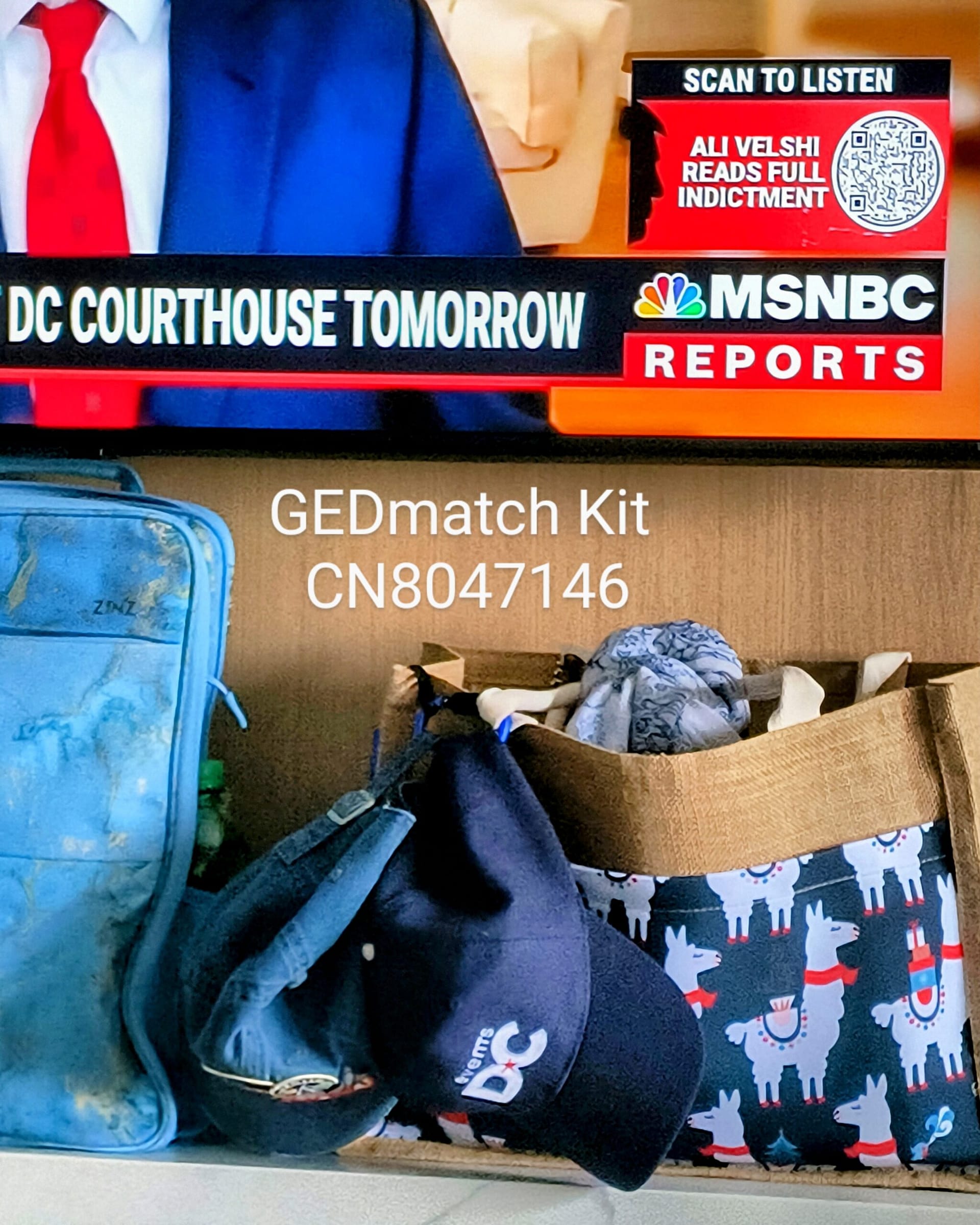 1000066533 - Morgan Plantagenet: Ancestral Cryptology and Genetic Cartography News 1000066533