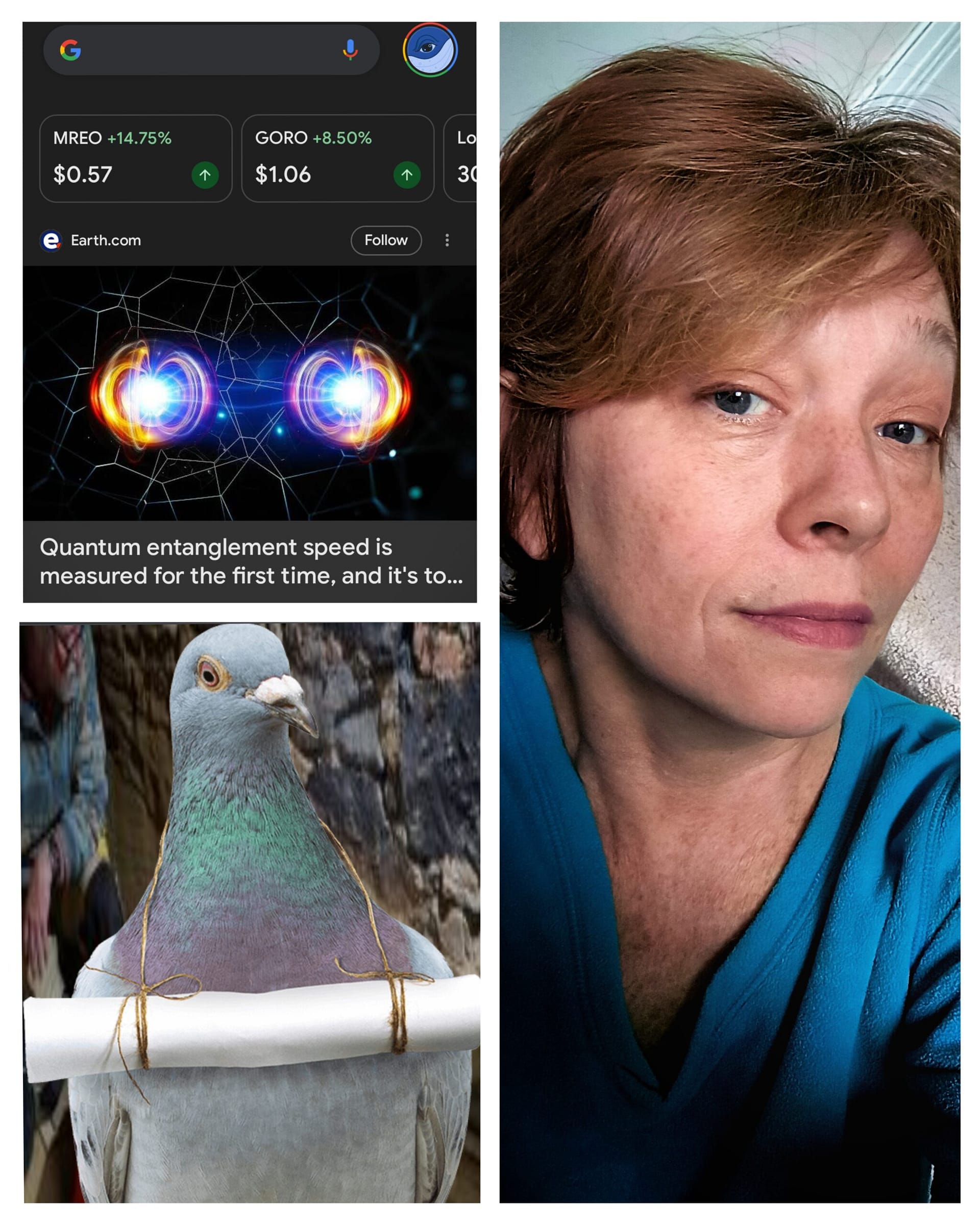 - Morgan Plantagenet: Ancestral Cryptology and Genetic Cartography News