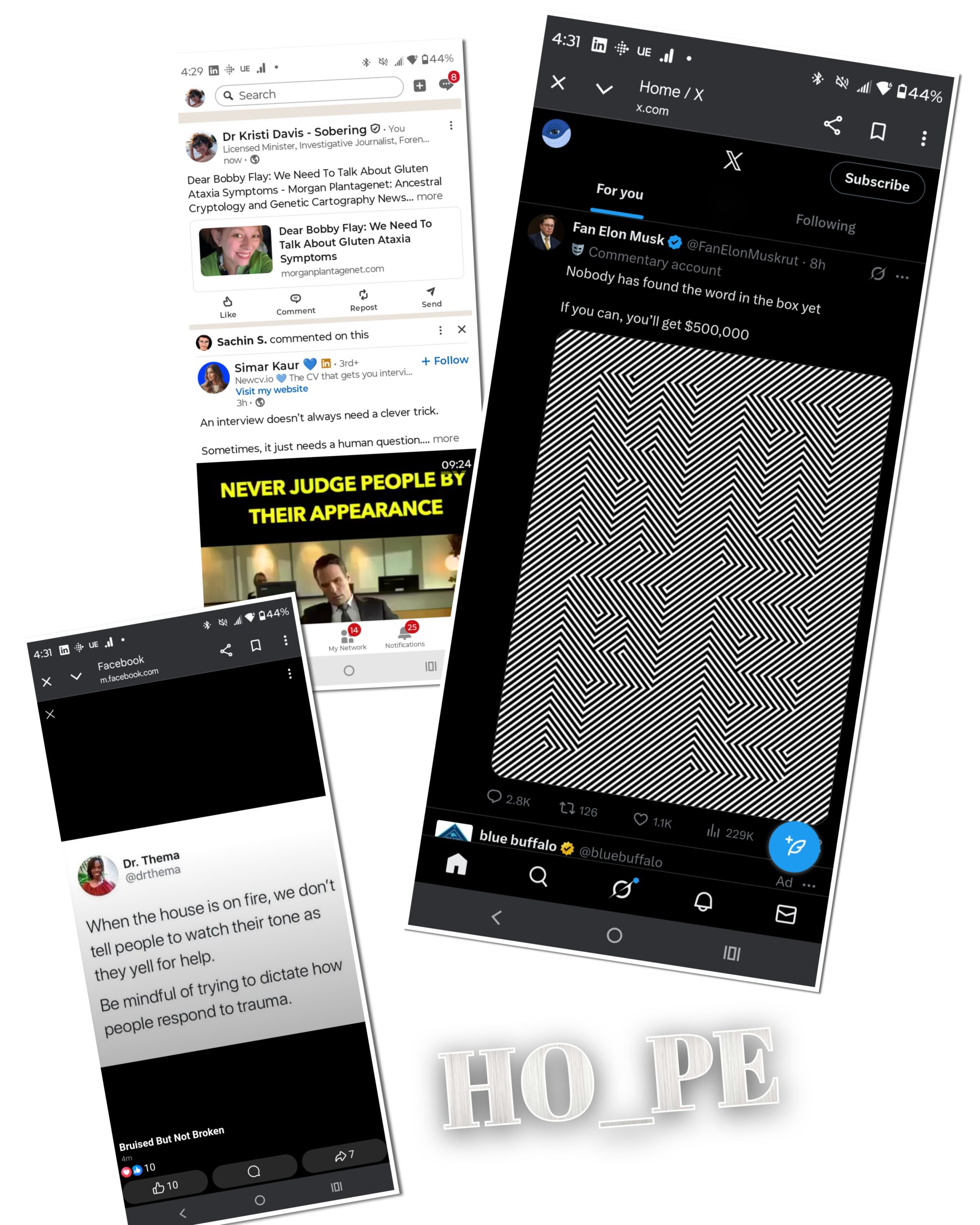 - Morgan Plantagenet: Ancestral Cryptology and Genetic Cartography News