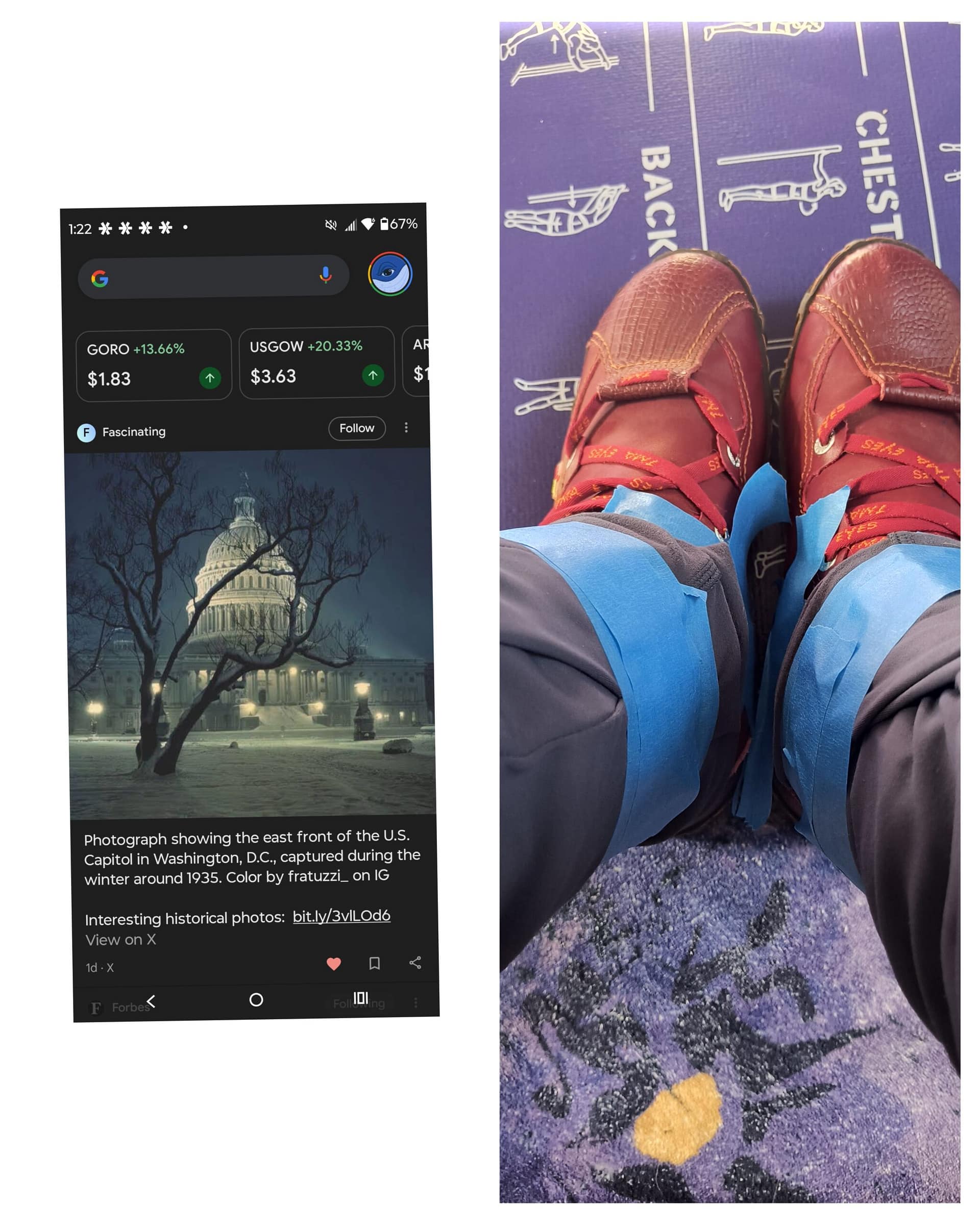 1000134660 - Morgan Plantagenet: Ancestral Cryptology and Genetic Cartography News 1000134660