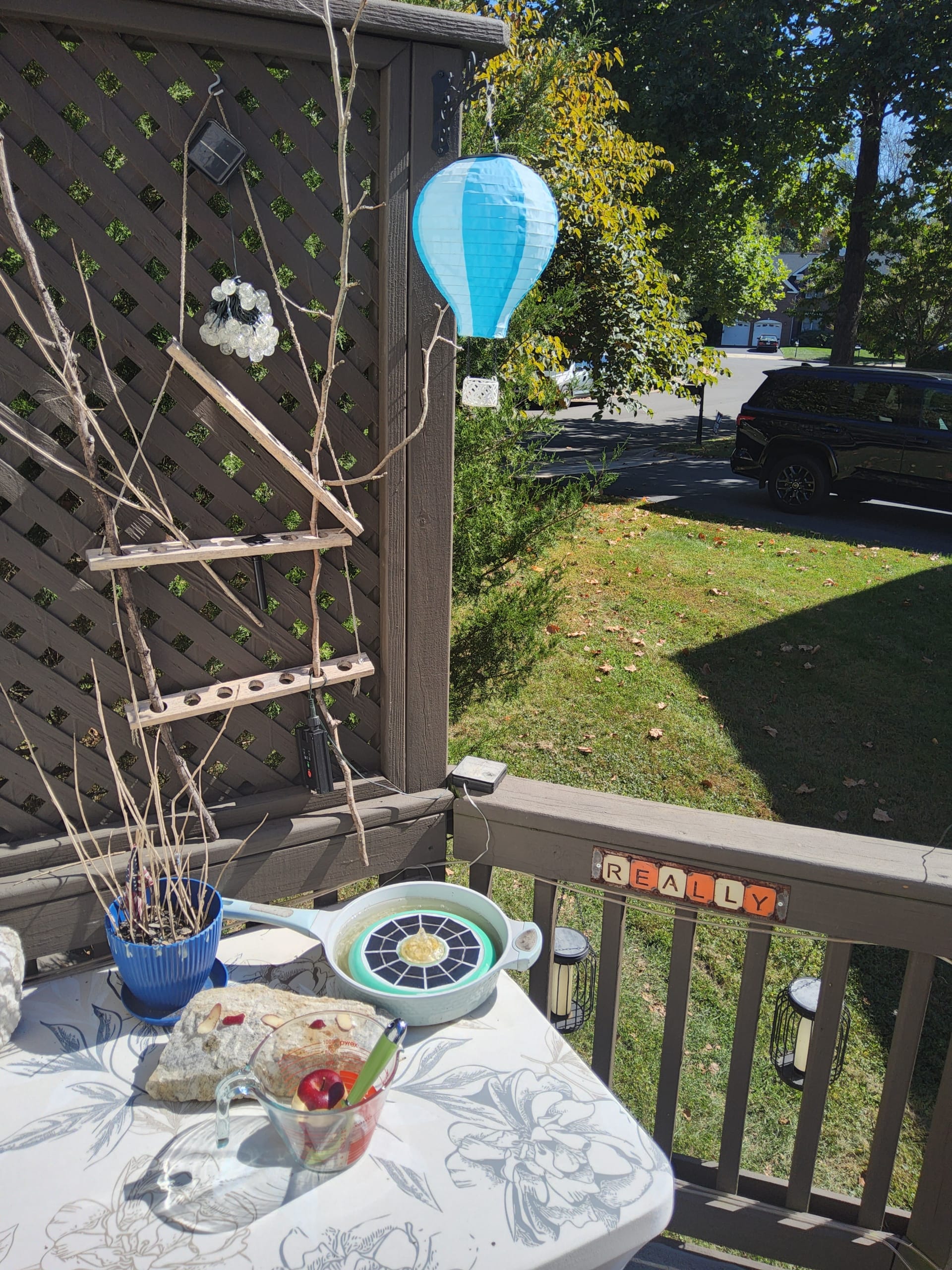 1000037221 scaled - Morgan Plantagenet: Ancestral Cryptology and Genetic Cartography News 1000037221 scaled