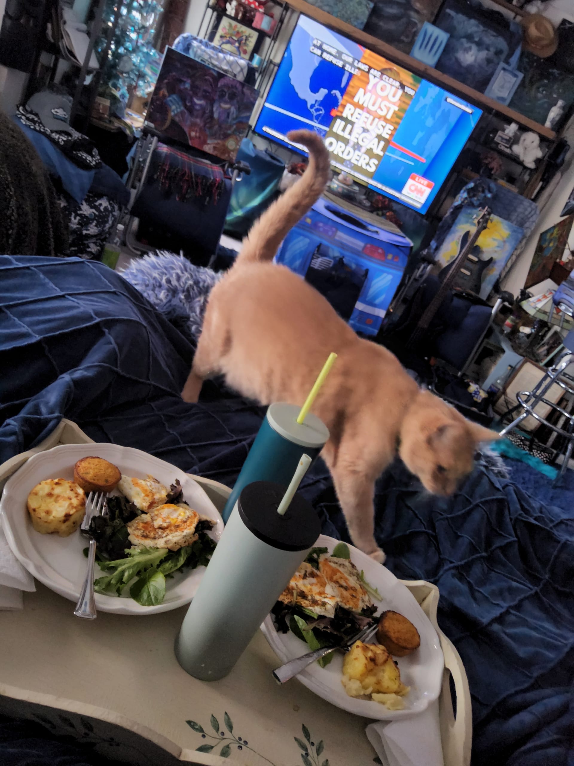 1000039933 - Morgan Plantagenet: Ancestral Cryptology and Genetic Cartography News 1000039933