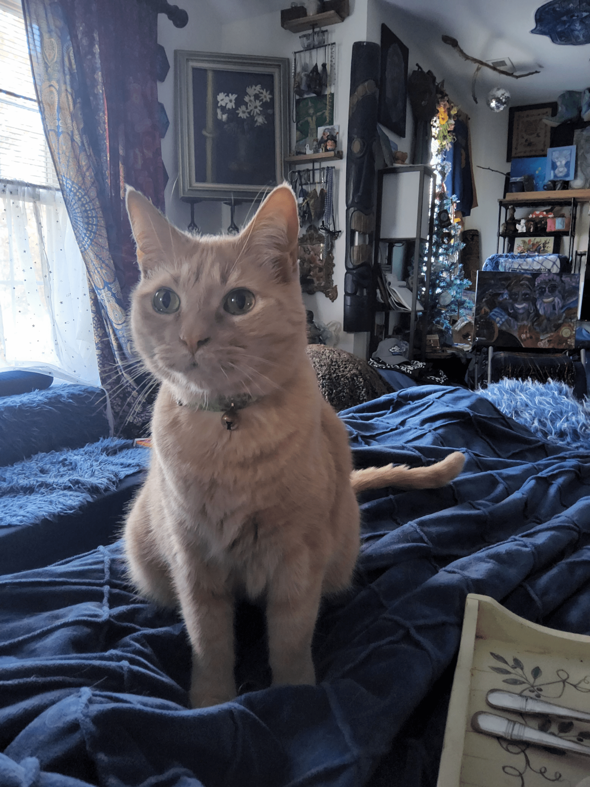 1000040125 - Morgan Plantagenet: Ancestral Cryptology and Genetic Cartography News 1000040125