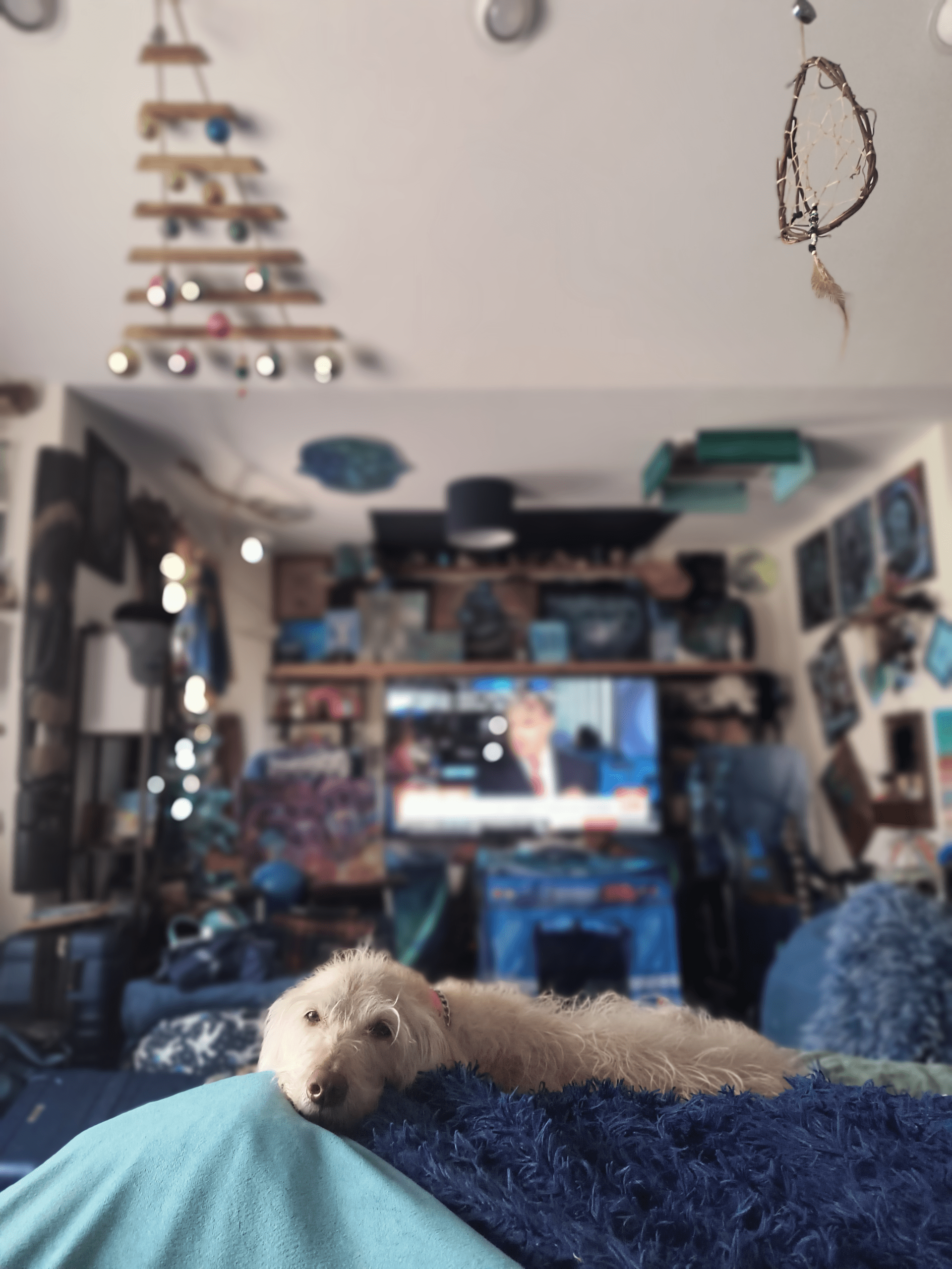 1000139781 - Morgan Plantagenet: Ancestral Cryptology and Genetic Cartography News 1000139781