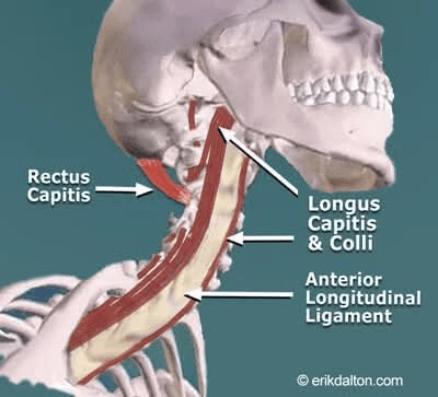1000039803 - Morgan Plantagenet: Ancestral Cryptology and Genetic Cartography News 1000039803