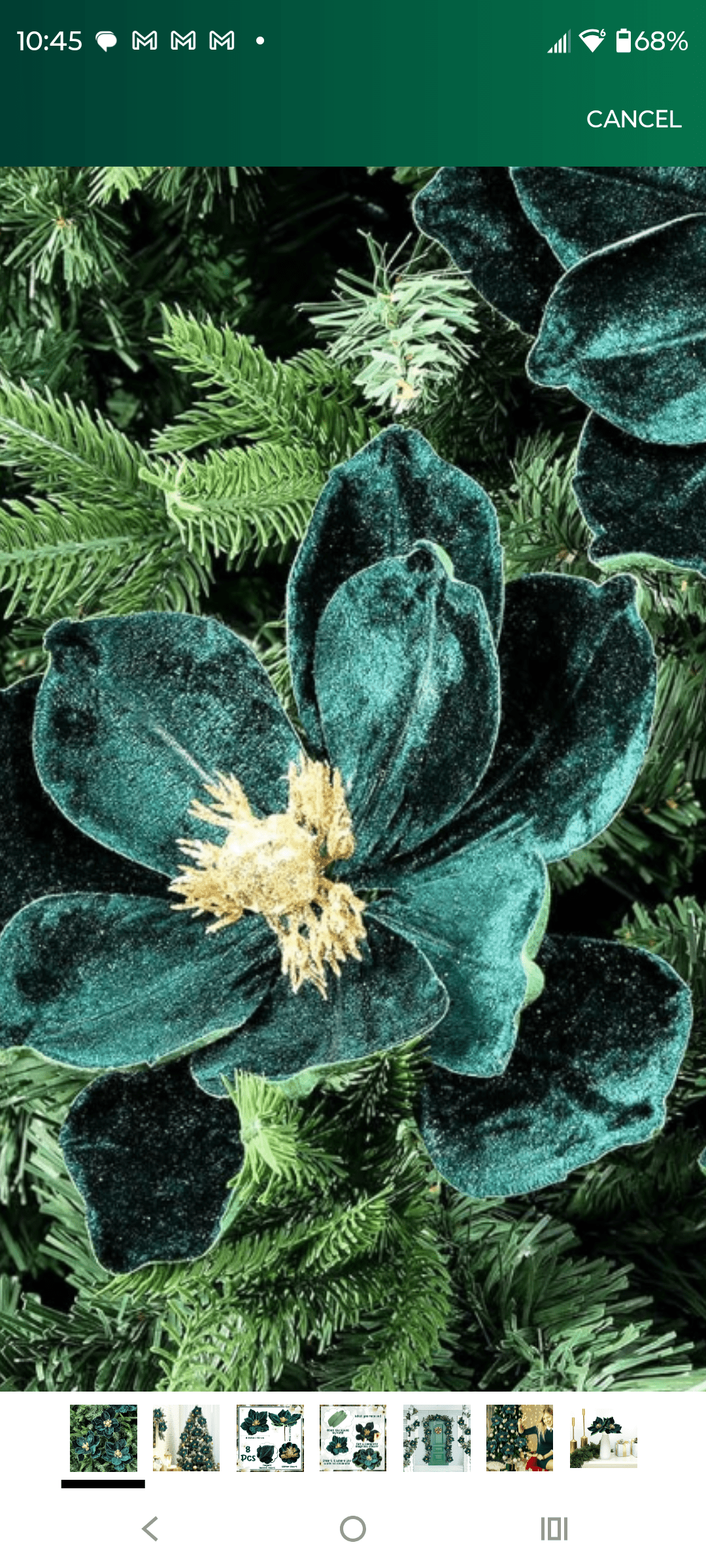 - Morgan Plantagenet: Ancestral Cryptology and Genetic Cartography News