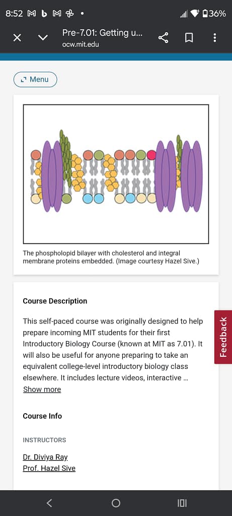 - Morgan Plantagenet: Ancestral Cryptology and Genetic Cartography News