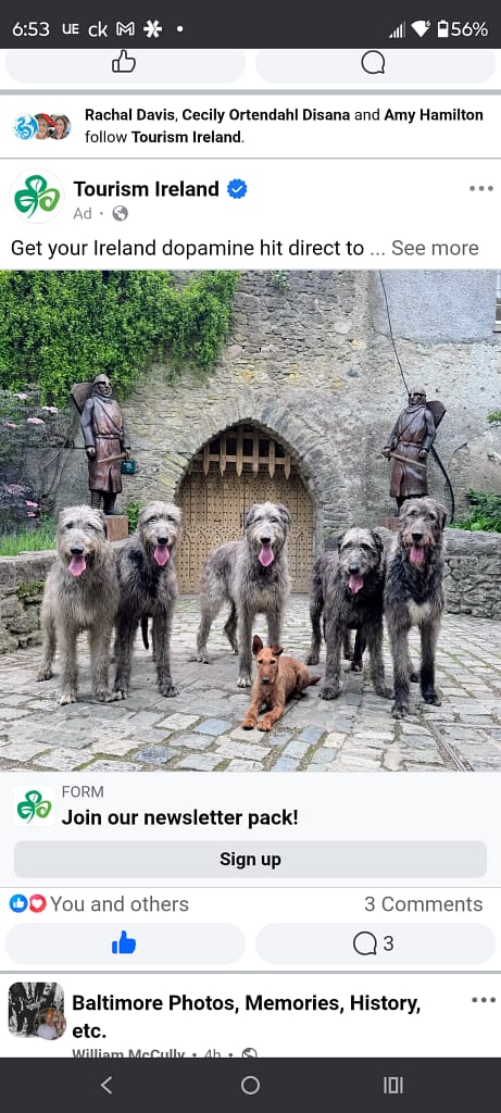 - Morgan Plantagenet: Ancestral Cryptology and Genetic Cartography News