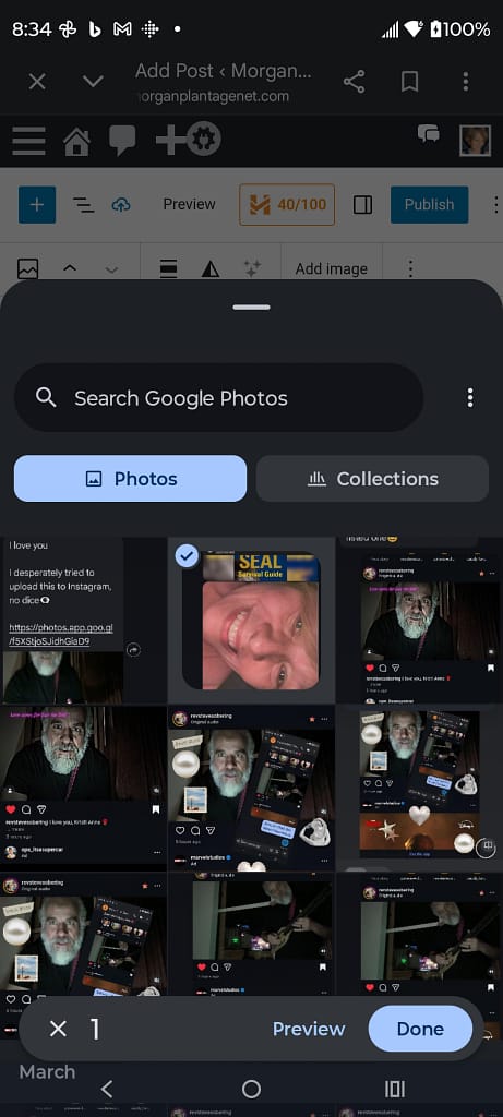 - Morgan Plantagenet: Ancestral Cryptology and Genetic Cartography News