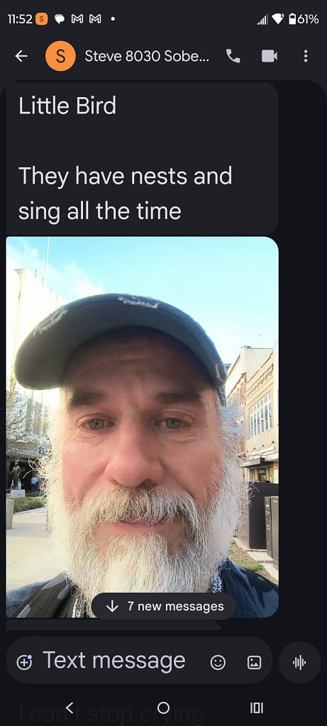 - Morgan Plantagenet: Ancestral Cryptology and Genetic Cartography News