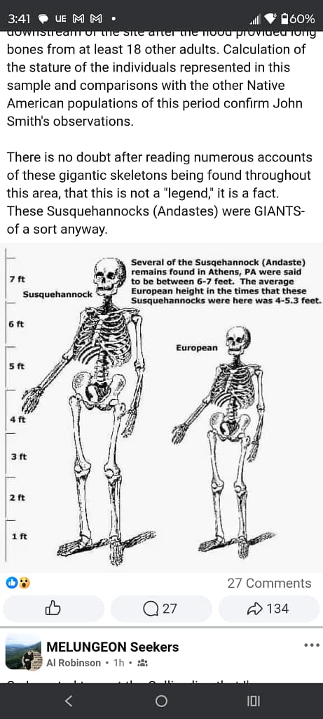 - Morgan Plantagenet: Ancestral Cryptology and Genetic Cartography News