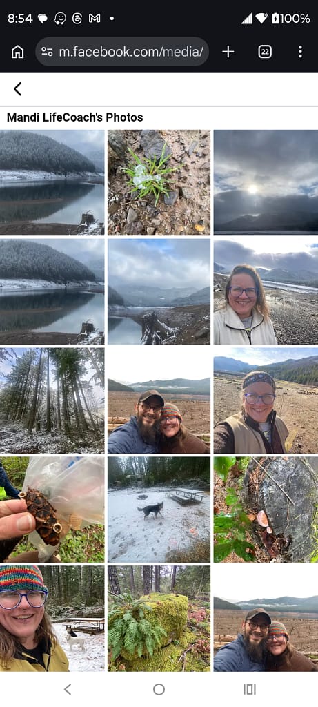 - Morgan Plantagenet: Ancestral Cryptology and Genetic Cartography News