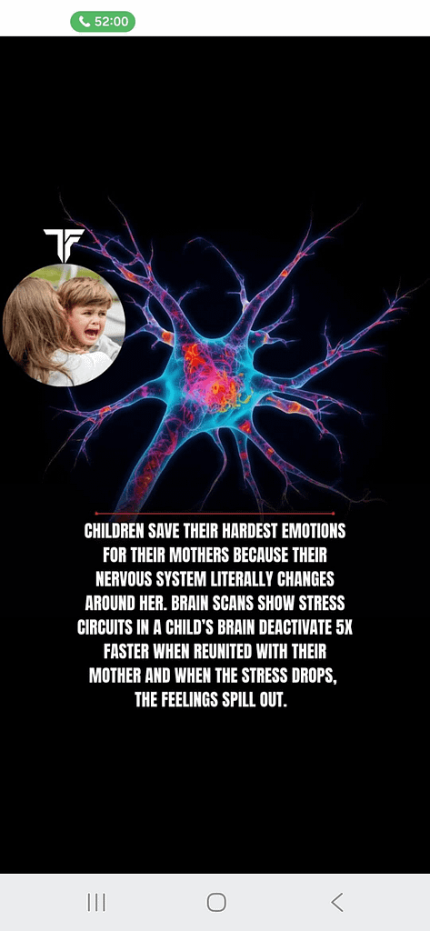 - Morgan Plantagenet: Ancestral Cryptology and Genetic Cartography News