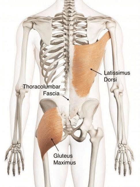 - Morgan Plantagenet: Ancestral Cryptology and Genetic Cartography News