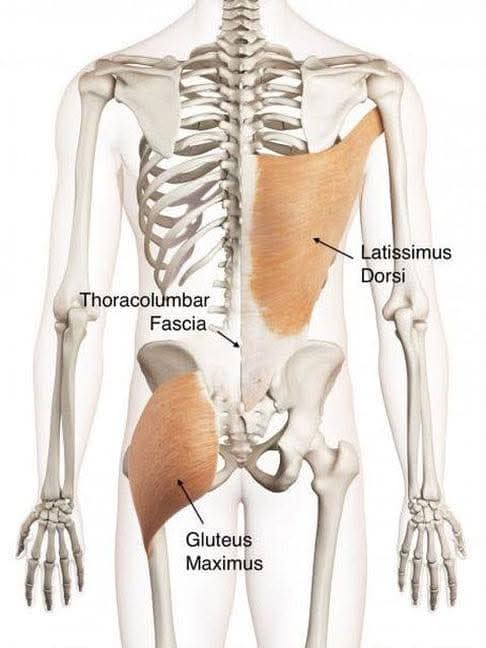1000042259 - Morgan Plantagenet: Ancestral Cryptology and Genetic Cartography News 1000042259