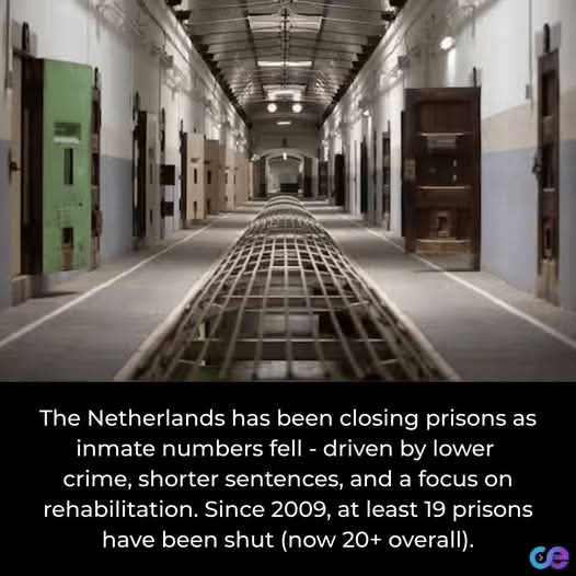 1000046641 - Morgan Plantagenet: Ancestral Cryptology and Genetic Cartography News 1000046641