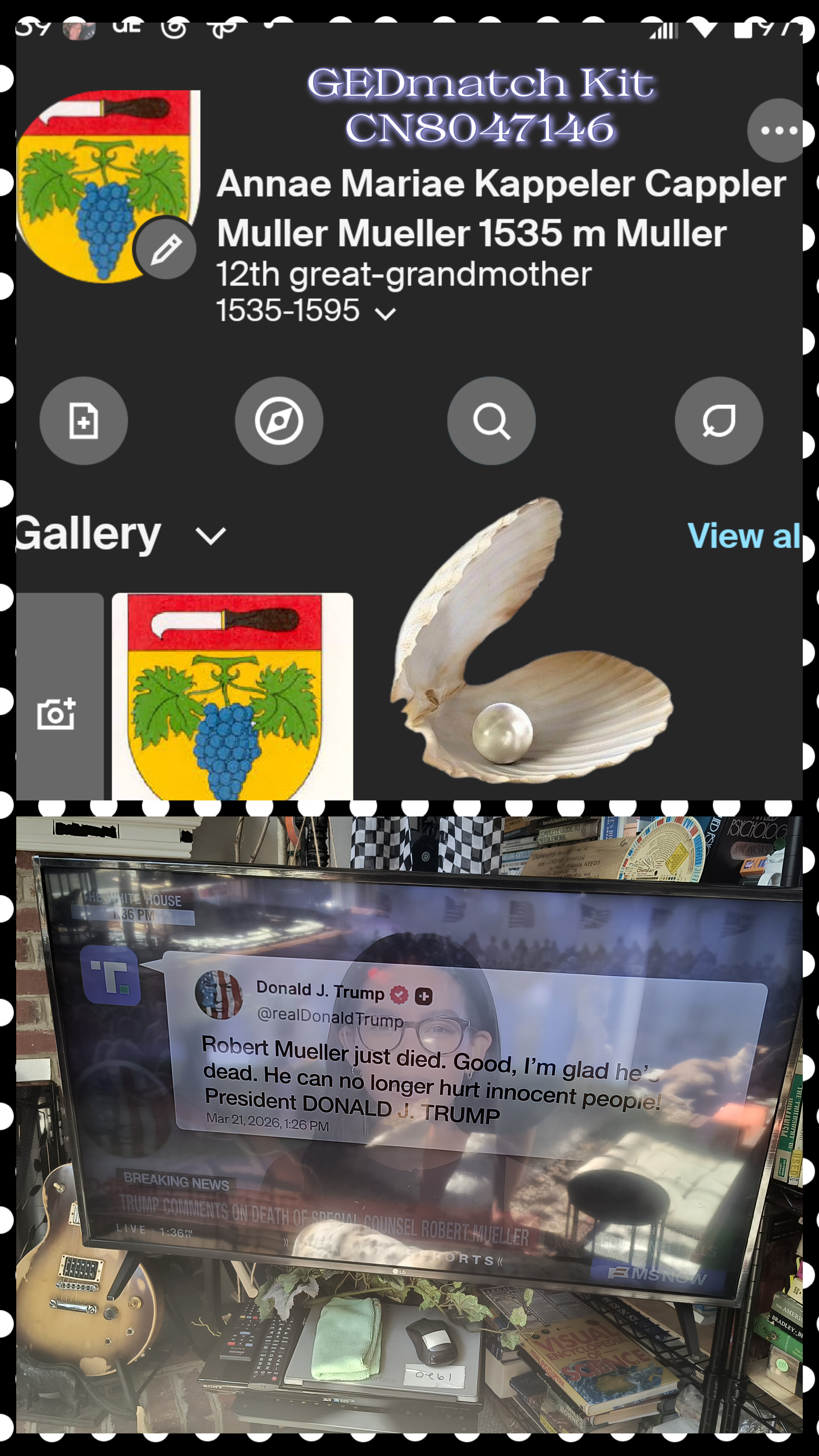 - Morgan Plantagenet: Ancestral Cryptology and Genetic Cartography News