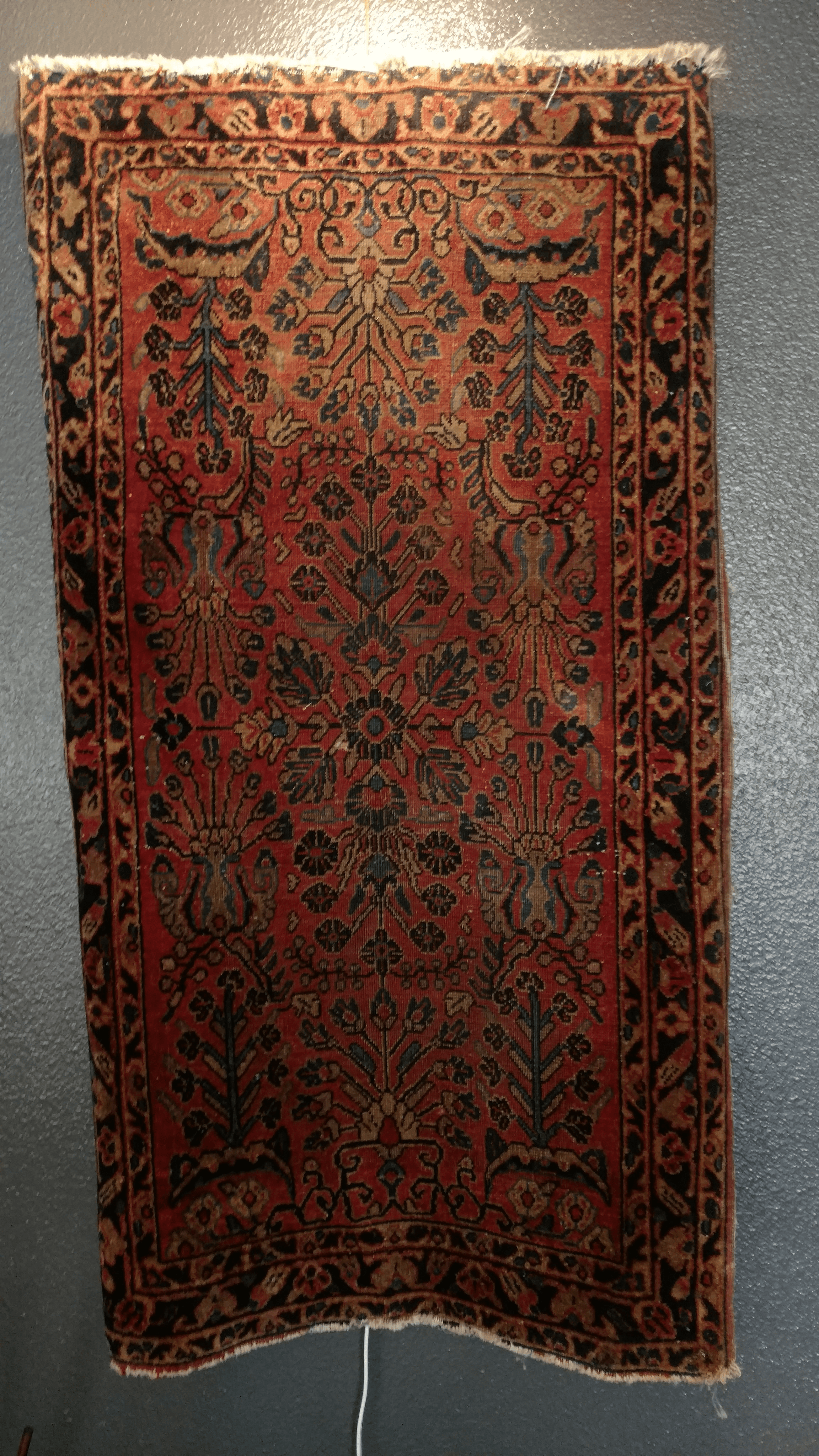 - Morgan Plantagenet: Ancestral Cryptology and Genetic Cartography News