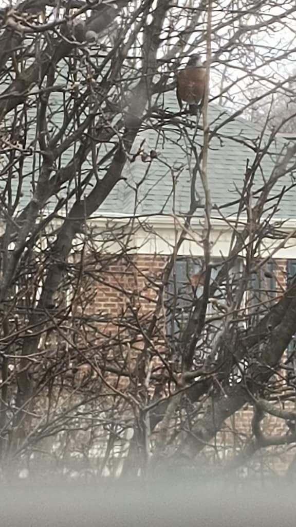 1000133448 - Morgan Plantagenet: Ancestral Cryptology and Genetic Cartography News 1000133448