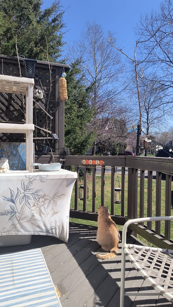 - Morgan Plantagenet: Ancestral Cryptology and Genetic Cartography News