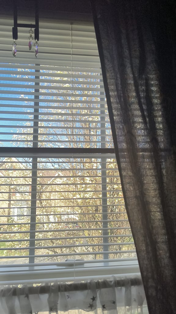 - Morgan Plantagenet: Ancestral Cryptology and Genetic Cartography News